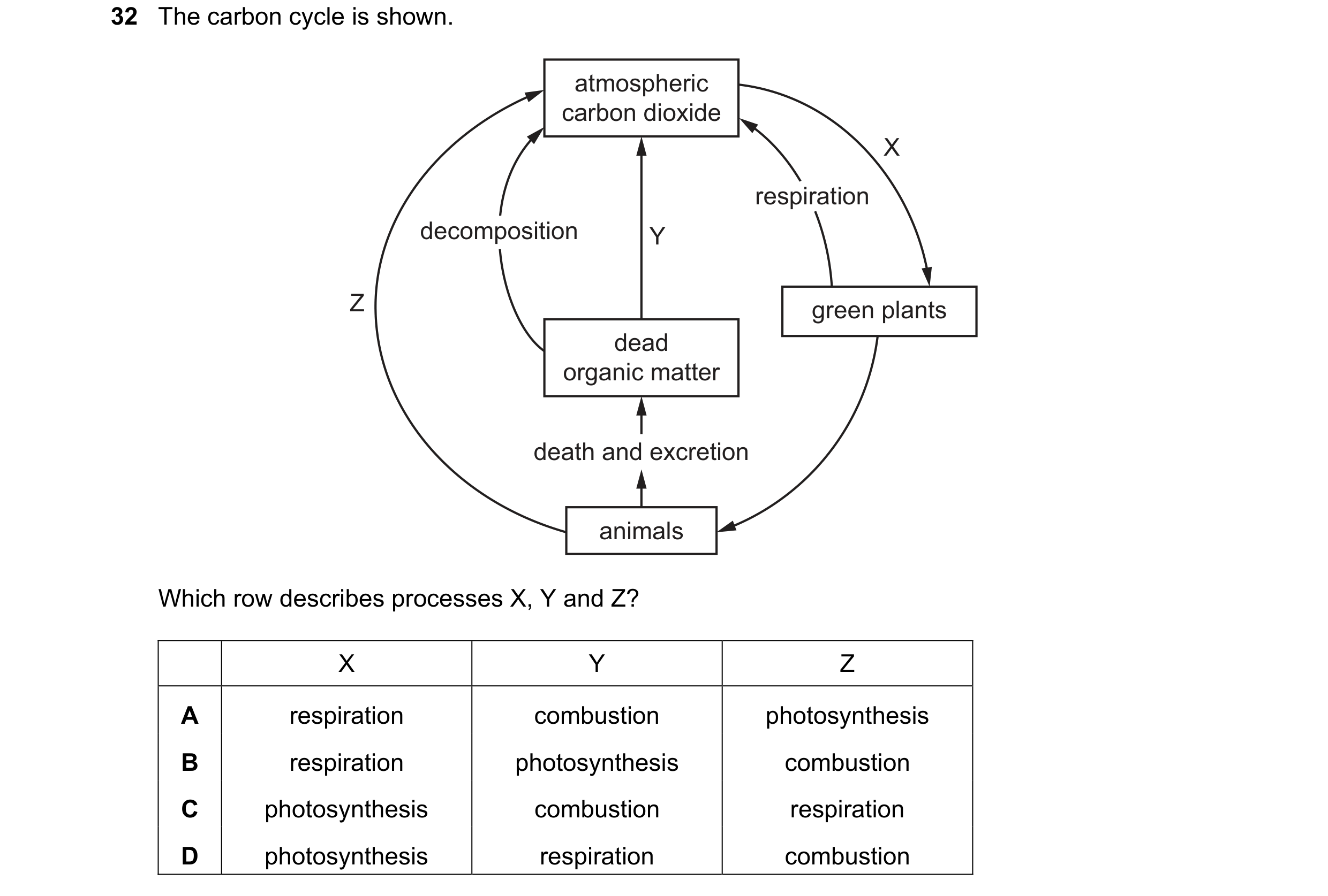 Question 8: The carbon cycle is shown. atmospheric carbon dioxide X respiration decomposition Y Z green plants dead organic matter death and excretion …