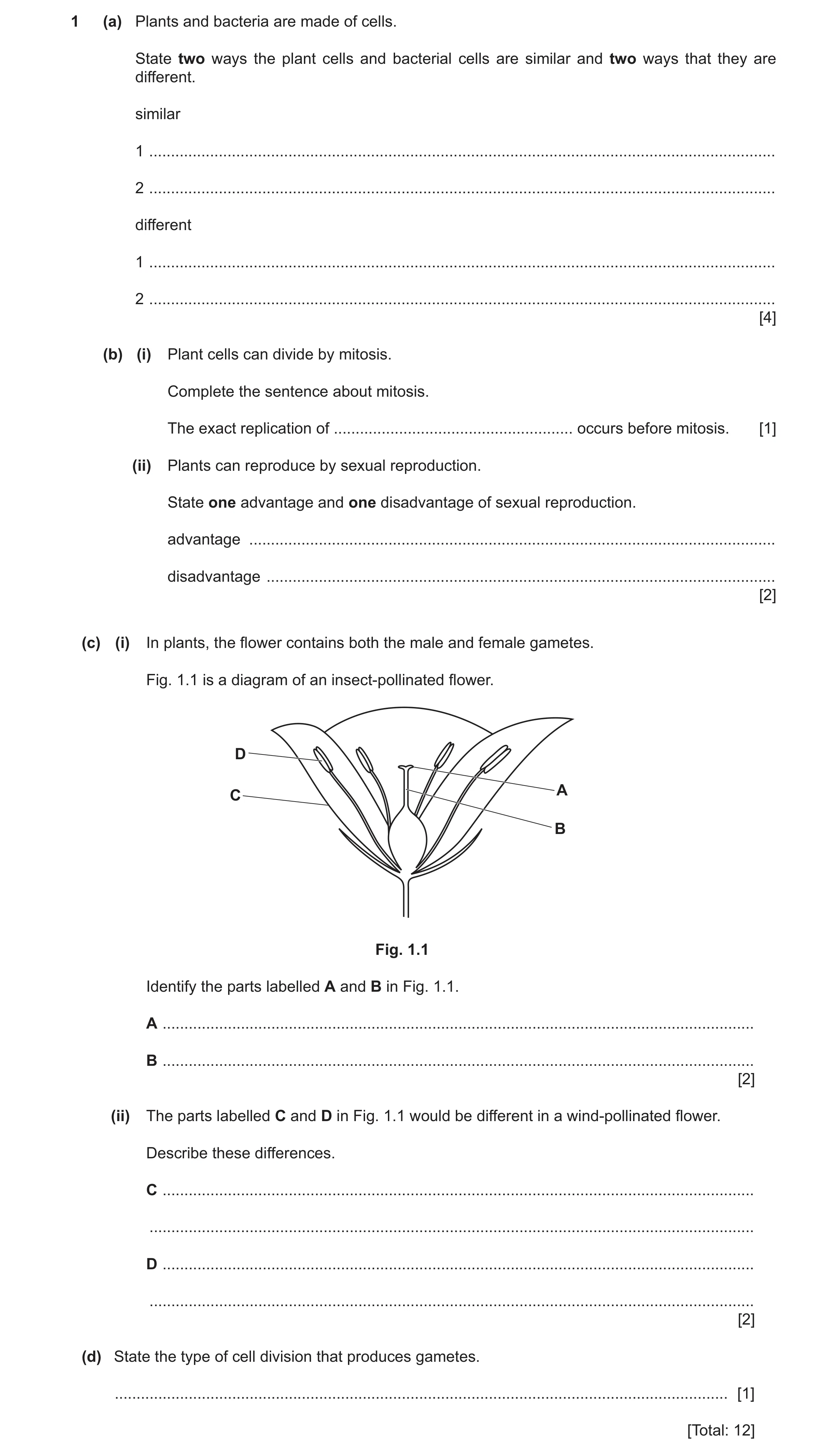 Question 15: (a) Plants and bacteria are made of cells. State two ways the plant cells and bacterial cells are similar and two ways that they are differ…