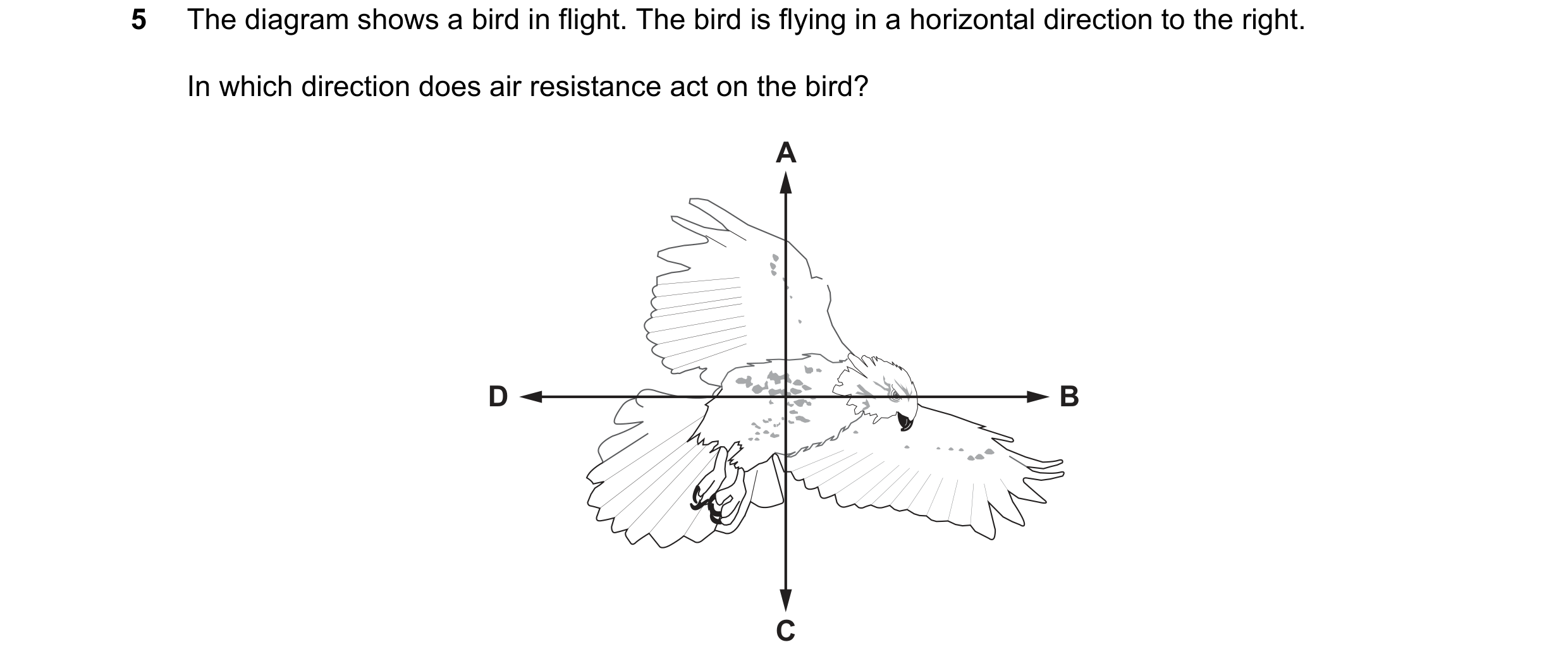 Question 233: The diagram shows a bird in flight. The bird is flying in a horizontal direction to the right. In which direction does air resistance act o…