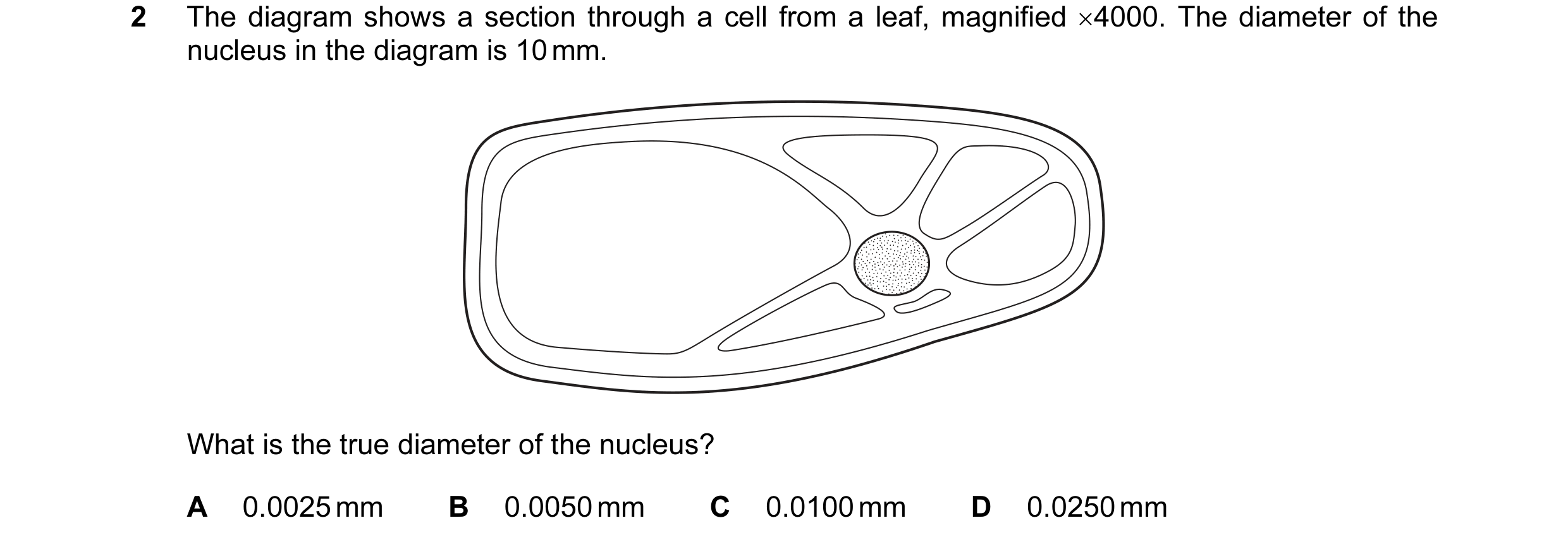 Question 2: The diagram shows a section through a cell from a leaf, magnified ×4000. The diameter of the nucleus in the diagram is 10 mm. What is the t…