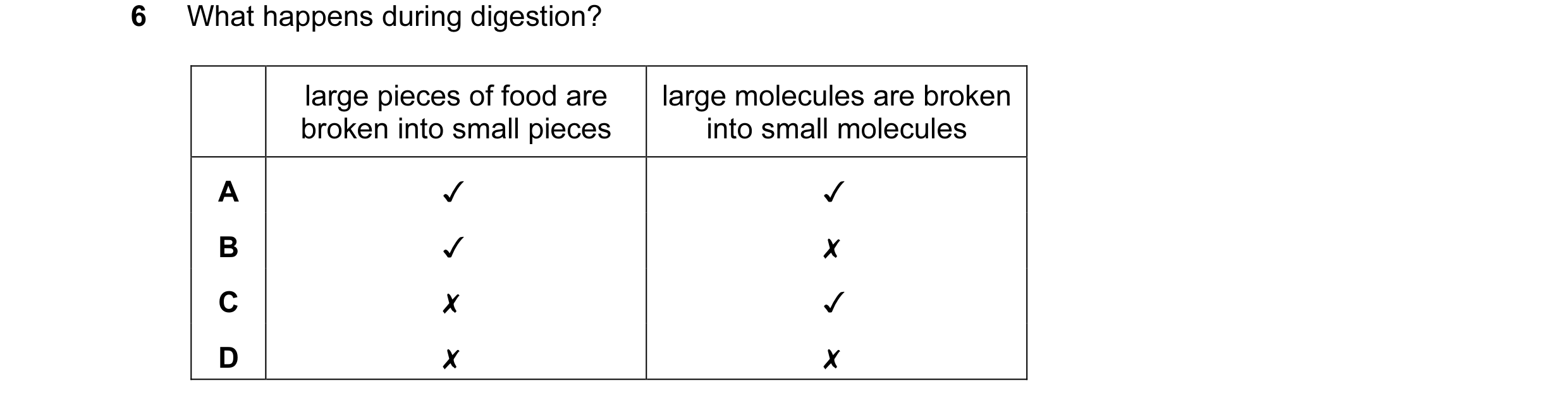 Question 7: What happens during digestion?

large pieces of food are
broken into small pieces

large molecules are broken
into small molecules

0 0O Ww…