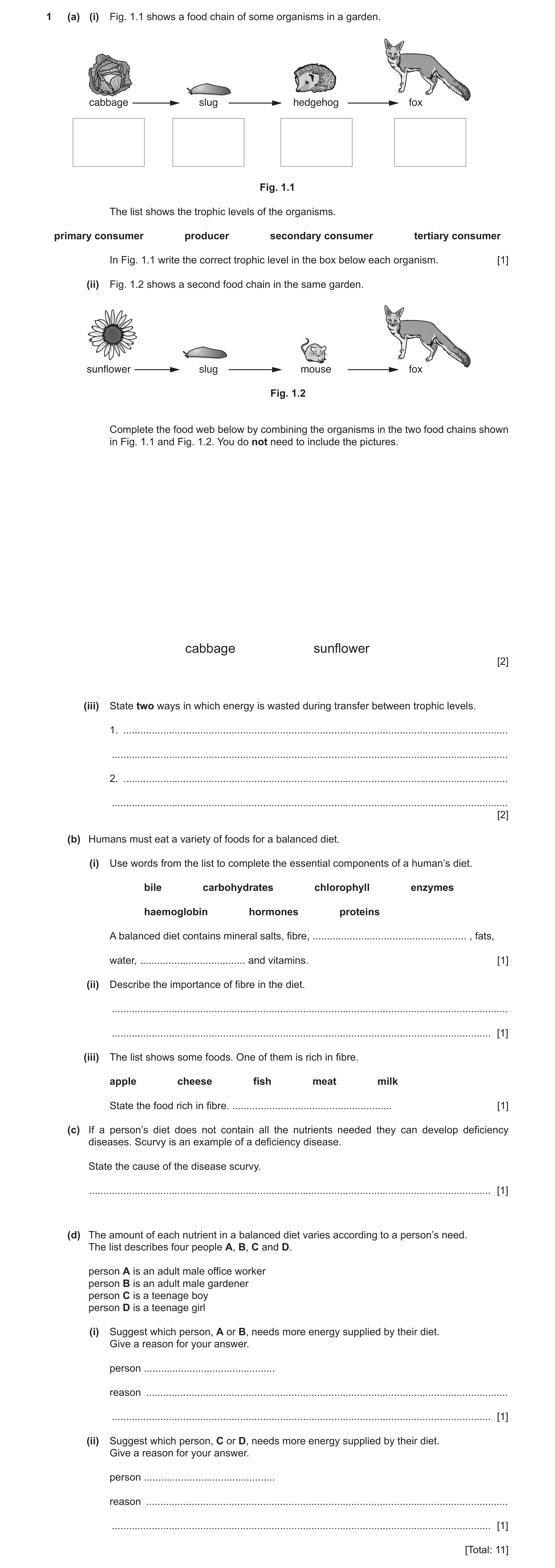 Question 4: (a) (i) Fig. 1.1 shows a food chain of some organisms in a garden. cabbage slug hedgehog fox Fig. 1.1 The list shows the trophic levels of …