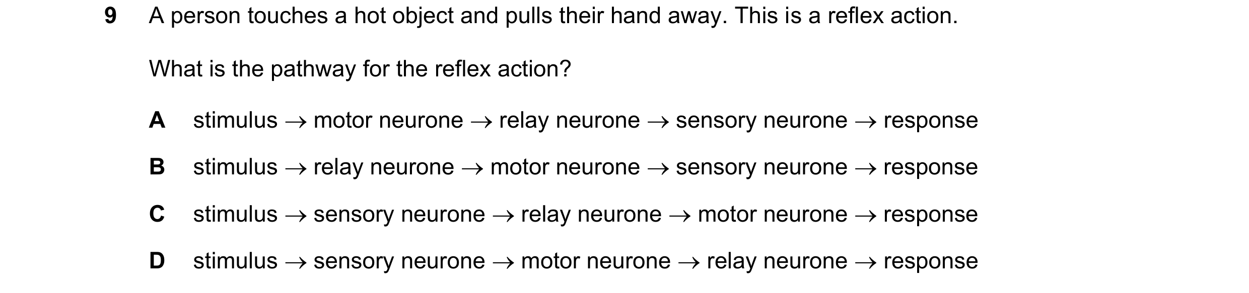 Question 34: A person touches a hot object and pulls their hand away. This is a reflex action. What is the pathway for the reflex action? A stimulus m…