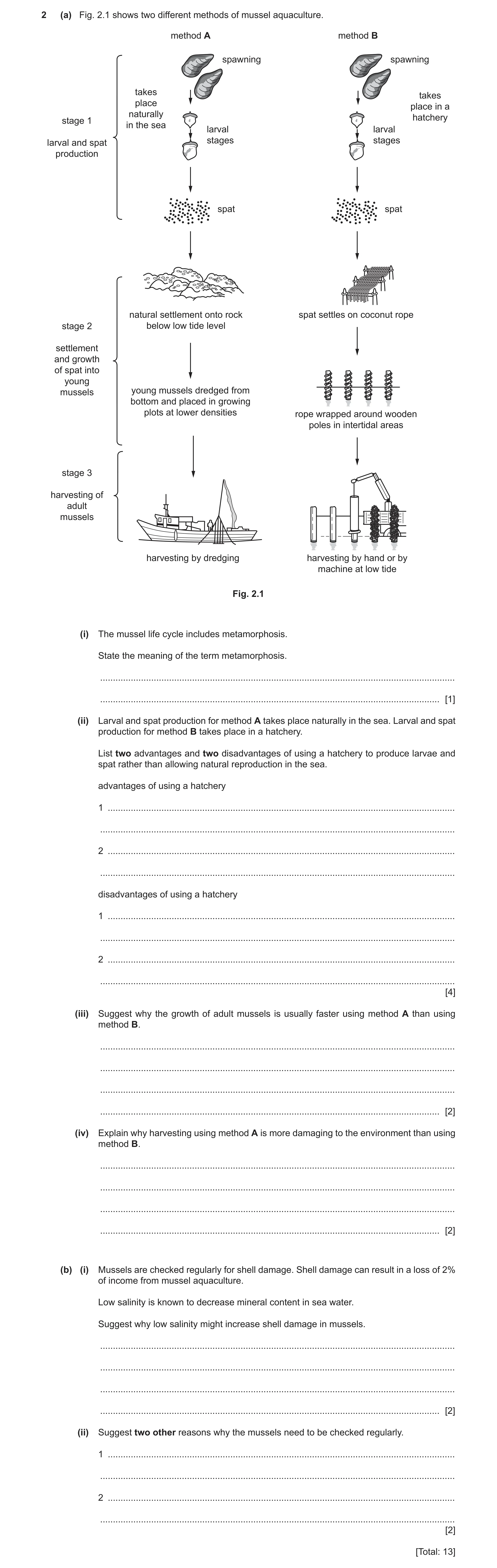Question 32: (a) Fig. 2.1 shows two different methods of mussel aquaculture. method A method B spawning spawning takes takes place place in a naturally …