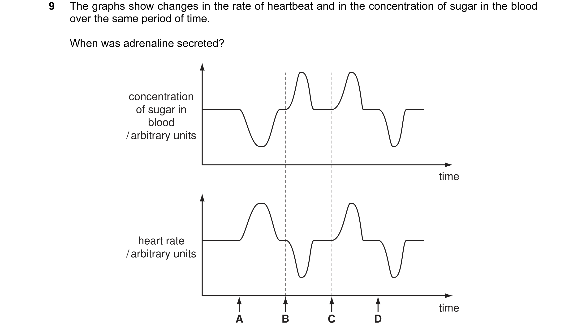 Question 13: The graphs show changes in the rate of heartbeat and in the concentration of sugar in the blood over the same period of time. When was adre…