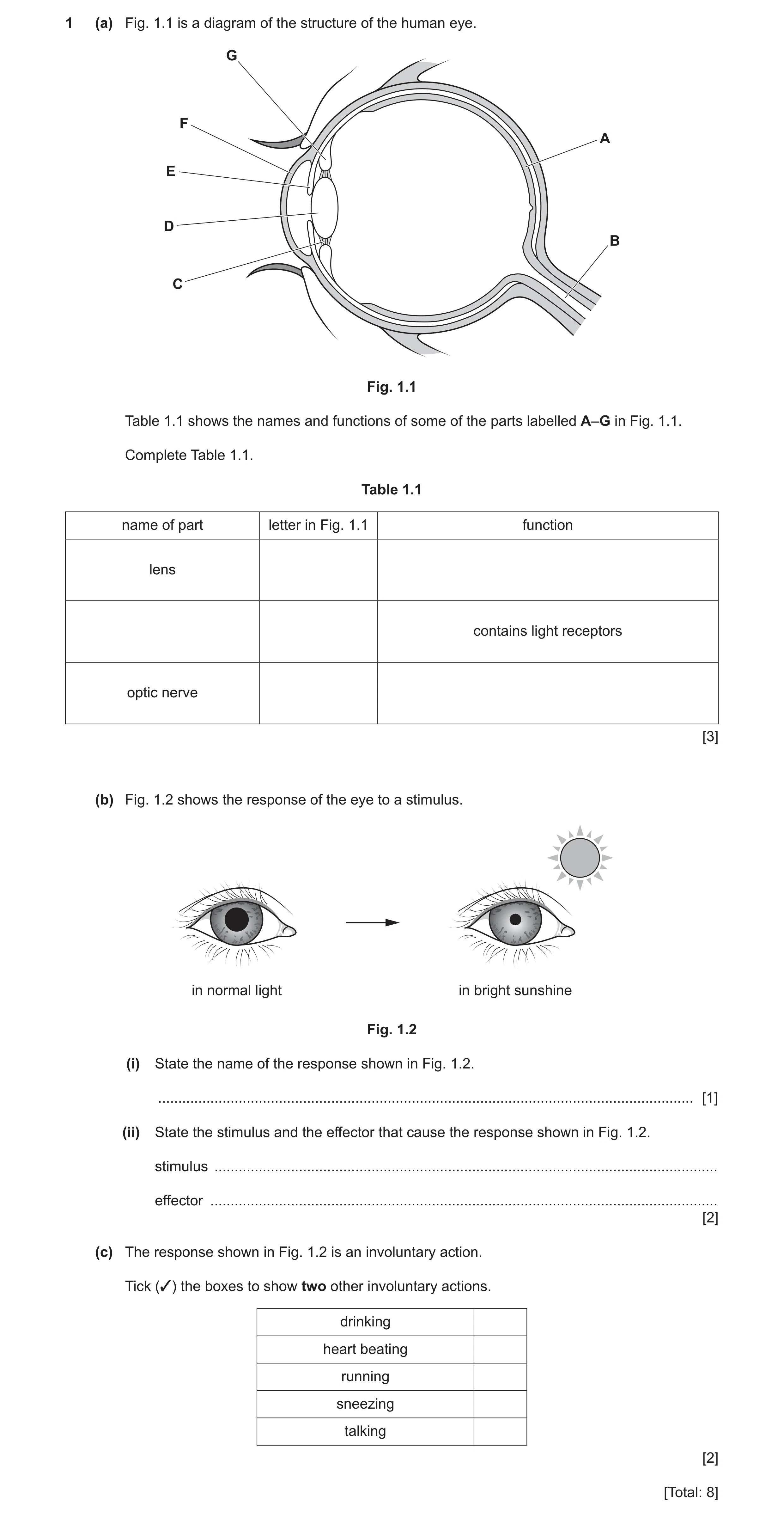 Question 19: (a) Fig. 1.1 is a diagram of the structure of the human eye. G F A E D B C Fig. 1.1 Table 1.1 shows the names and functions of some of the …