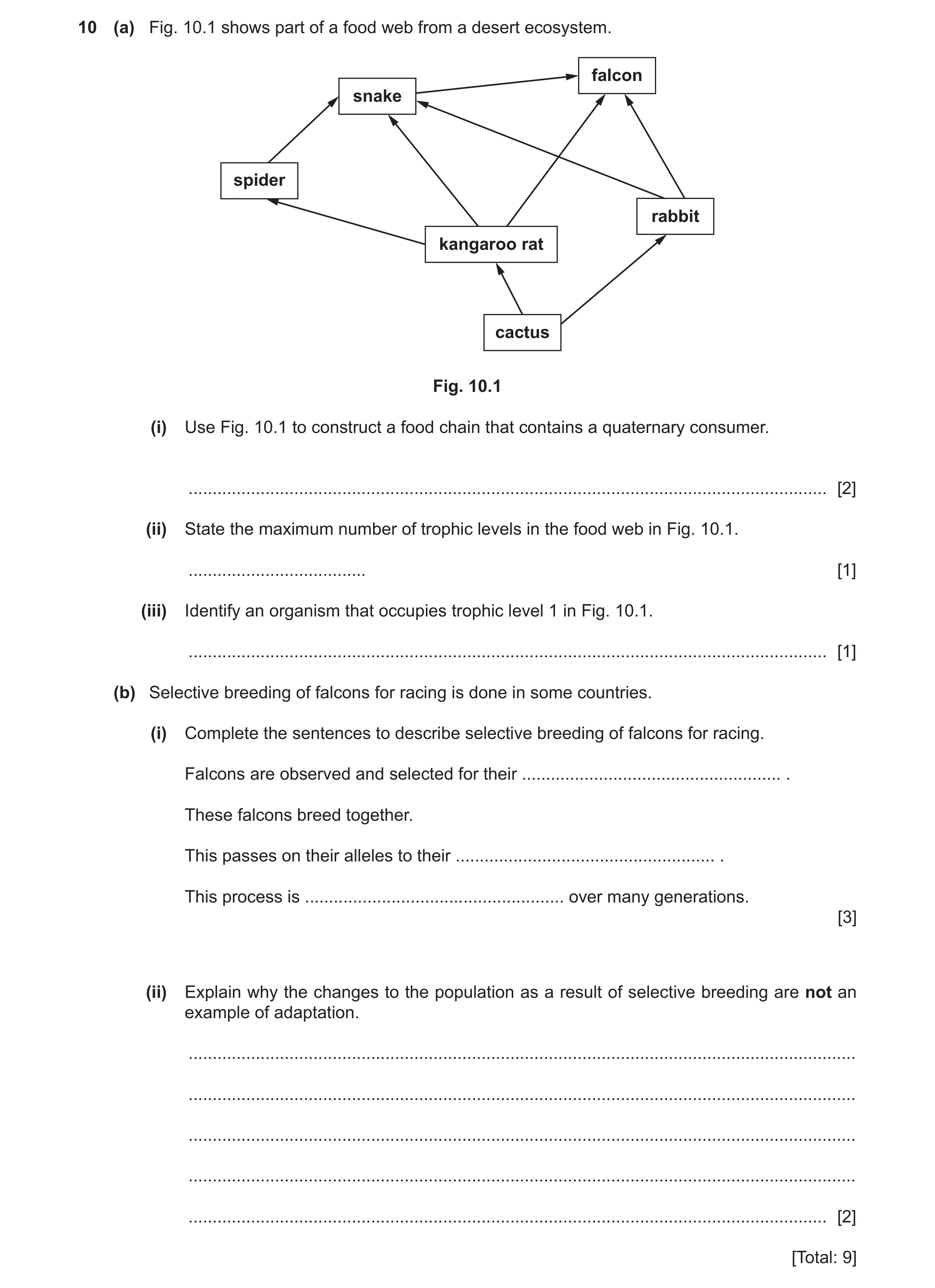 Question 13: (a) Fig. 10.1 shows part of a food web from a desert ecosystem. falcon snake spider rabbit kangaroo rat cactus Fig. 10.1 (i) Use Fig. 10.1 …