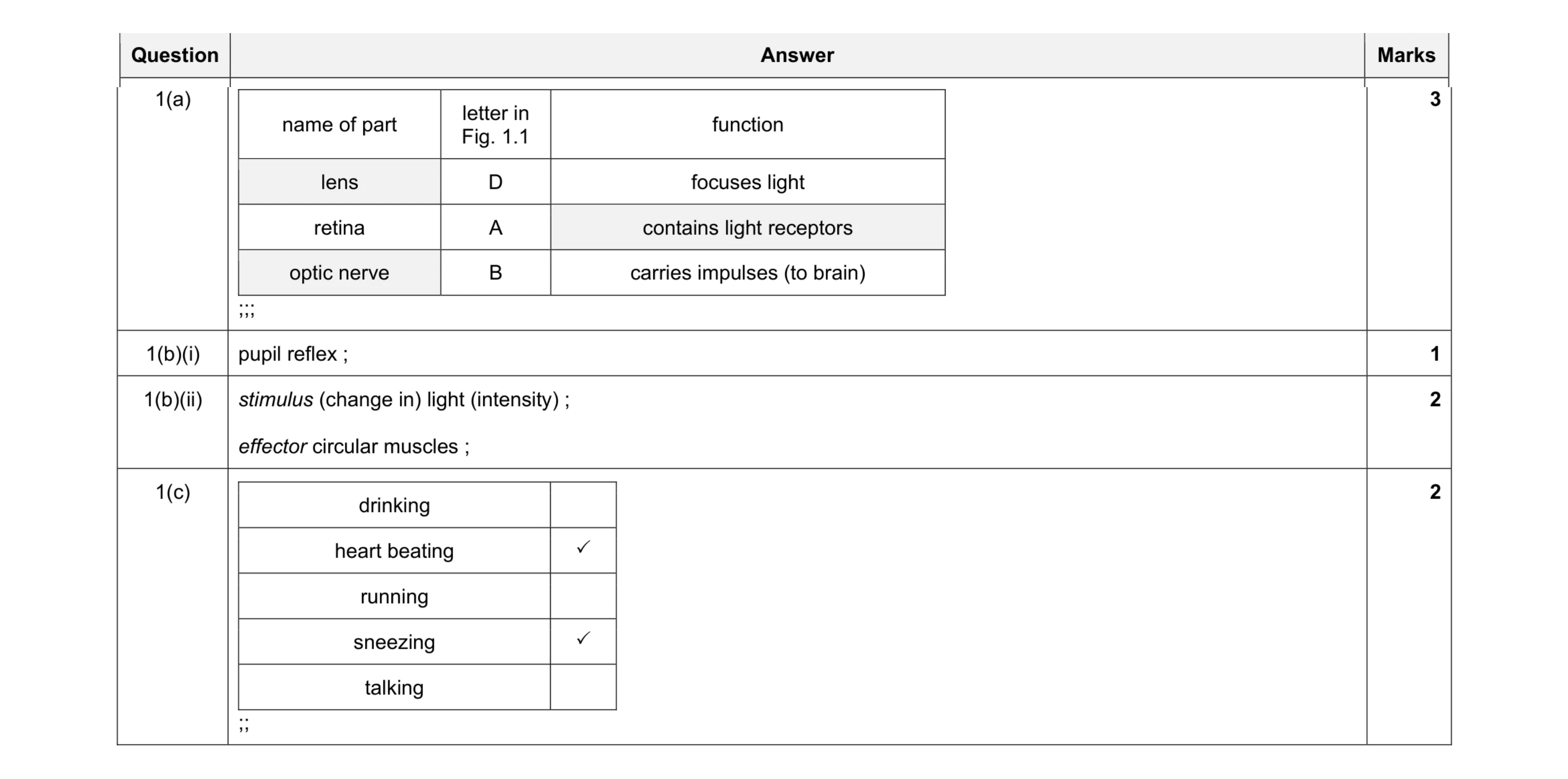 Mark scheme for question 19