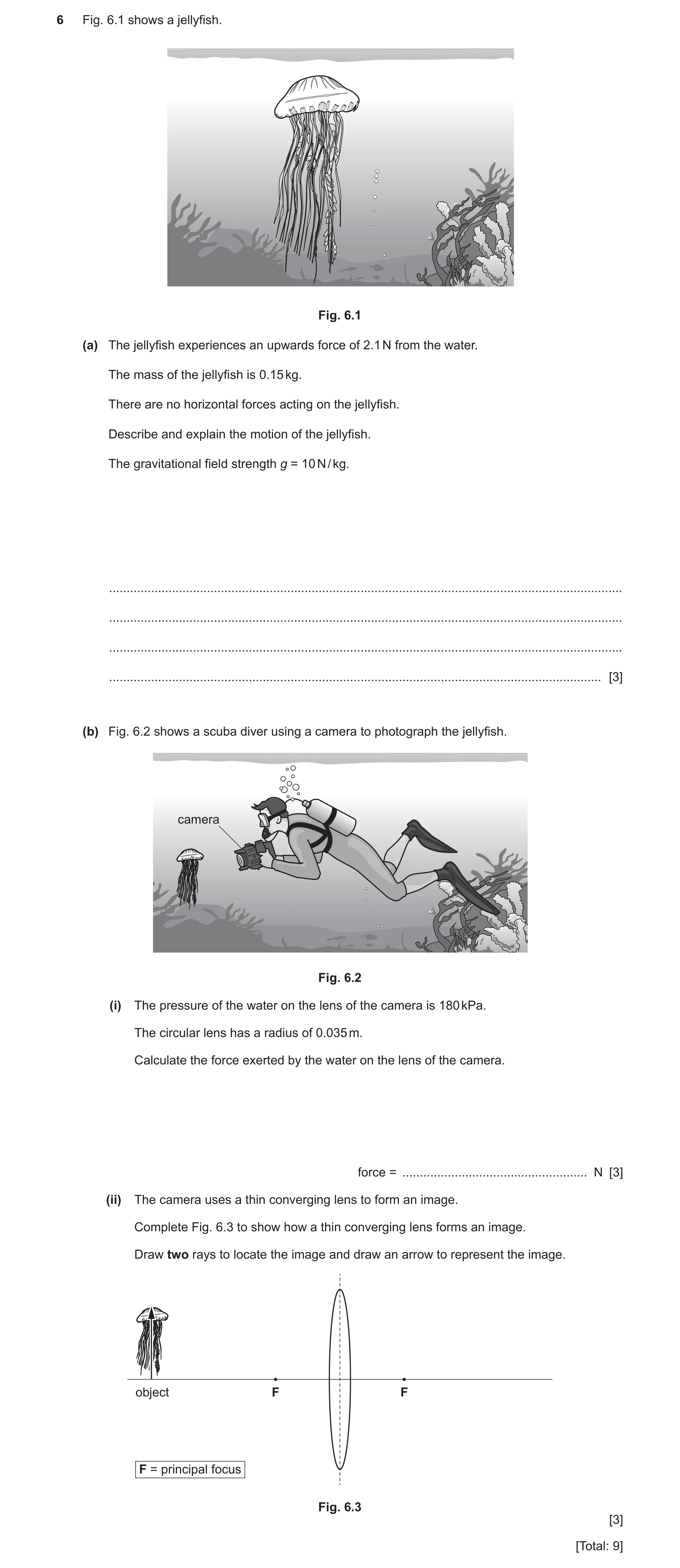 Question 31: Fig. 6.1 shows a jellyfish. Fig. 6.1 (a) The jellyfish experiences an upwards force of 2.1 N from the water. The mass of the jellyfish is 0…