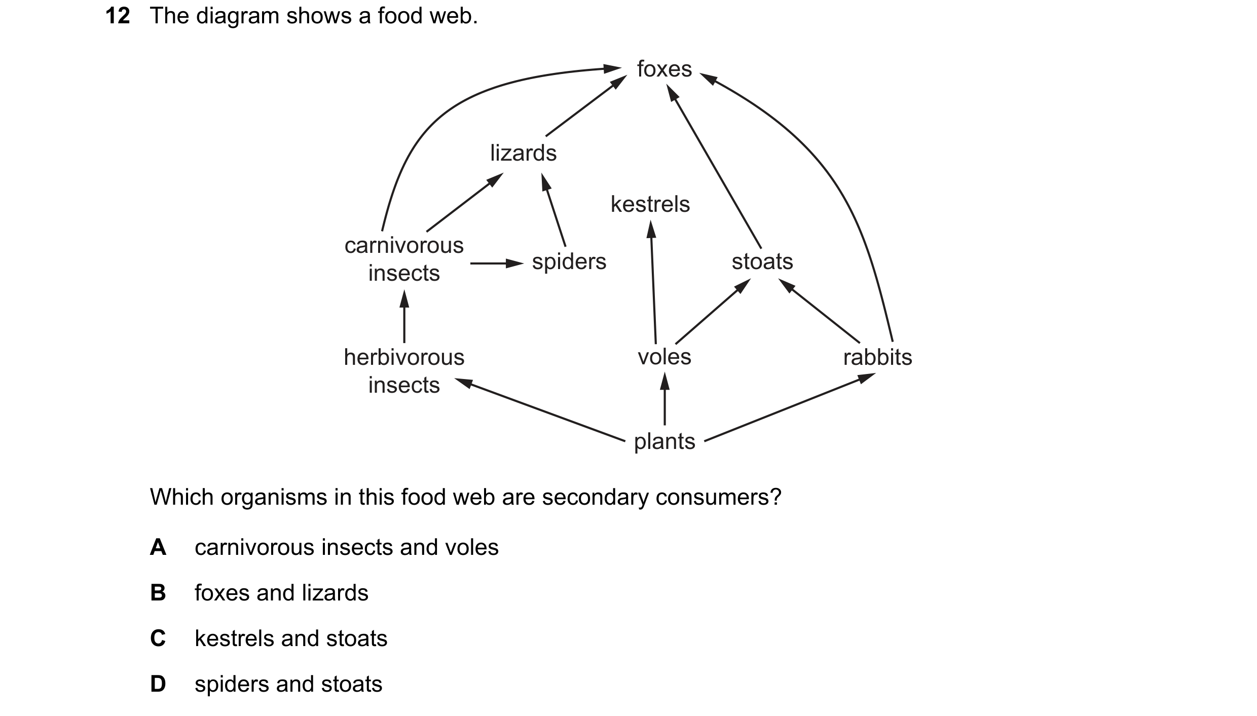 Question 58: The diagram shows a food web. foxes lizards kestrels carnivorous spiders stoats insects herbivorous voles rabbits insects plants Which orga…