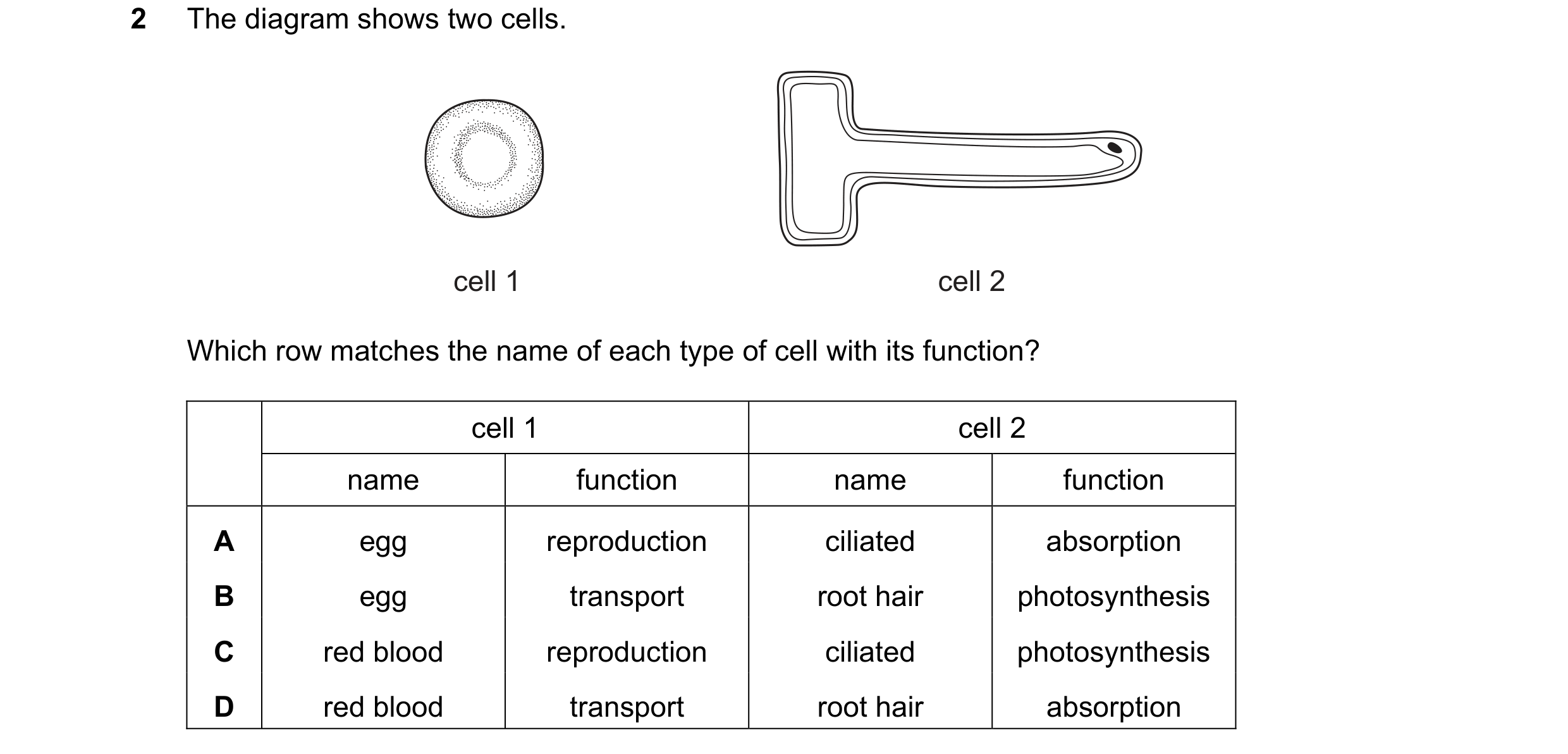 Question 7: The diagram shows two cells. cell 1 cell 2 Which row matches the name of each type of cell with its function? cell 1 cell 2 name function n…