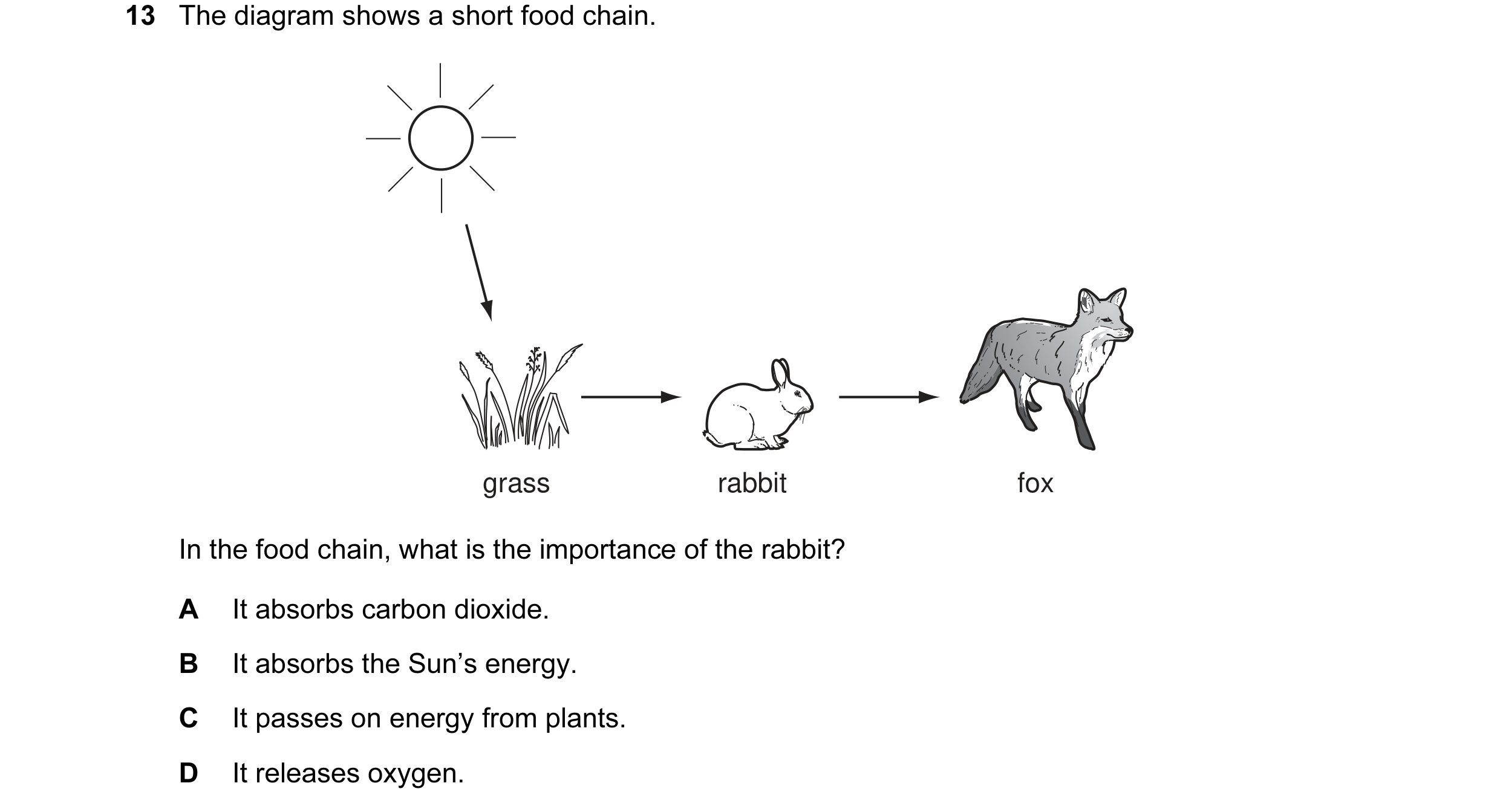 Question 9: The diagram shows a short food chain. grass rabbit fox In the food chain, what is the importance of the rabbit? A It absorbs carbon dioxide…