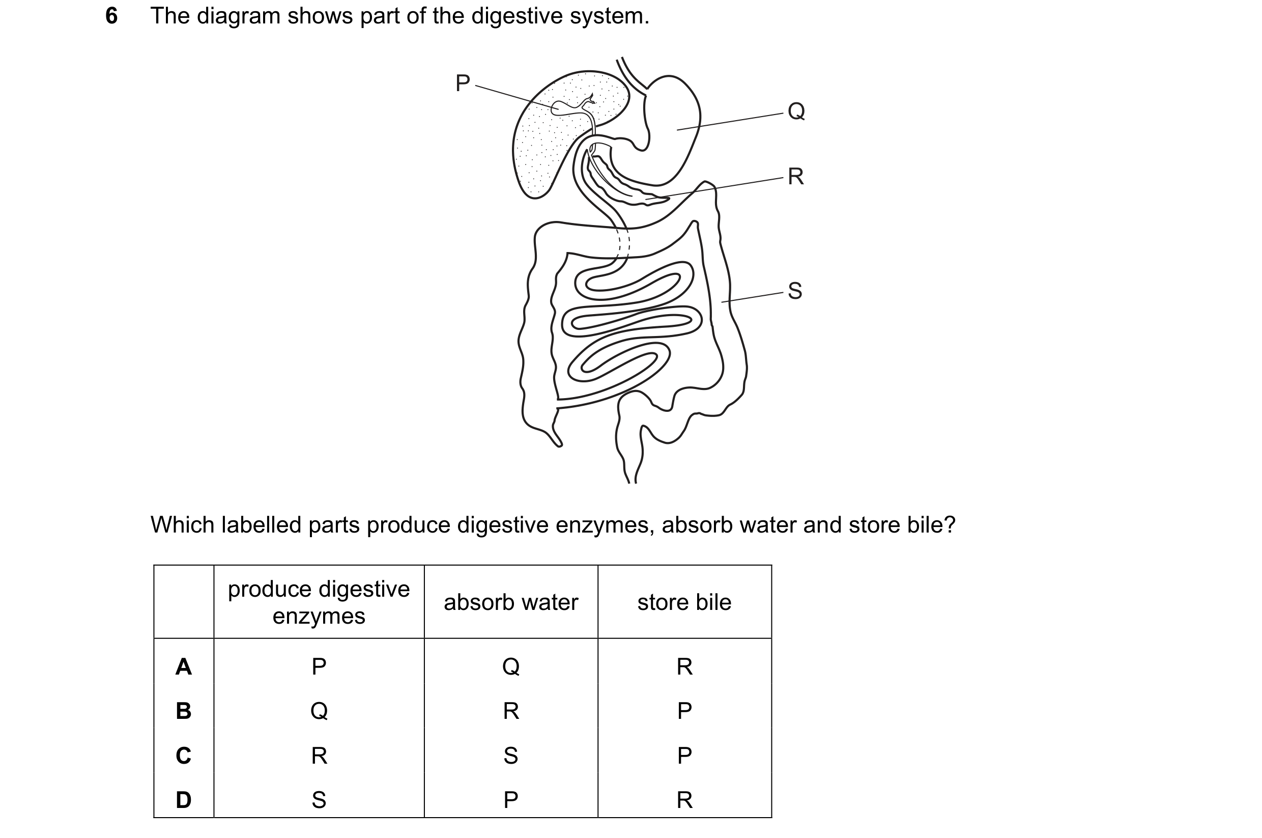 Question 40: The diagram shows part of the digestive system. P Q R S Which labelled parts produce digestive enzymes, absorb water and store bile? produc…