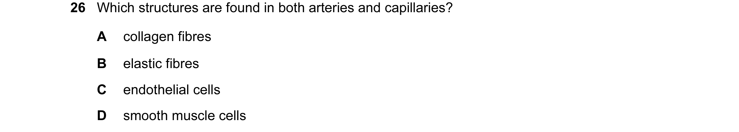 Question 1: Which structures are found in both arteries and capillaries? A collagen fibres B elastic fibres C endothelial cells D smooth muscle cells