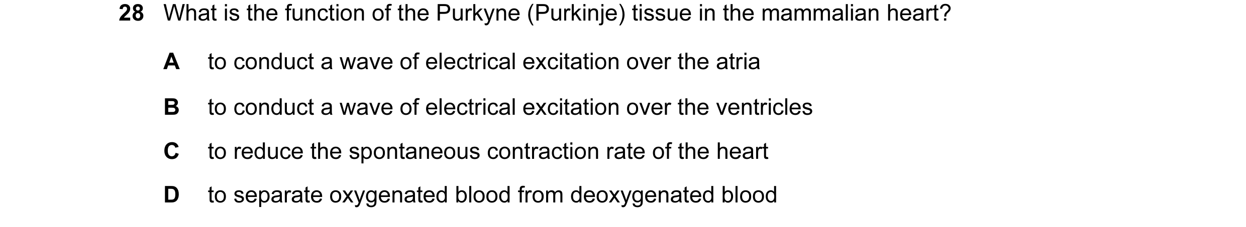 Question 1: What is the function of the Purkyne (Purkinje) tissue in the mammalian heart? A to conduct a wave of electrical excitation over the atria B…