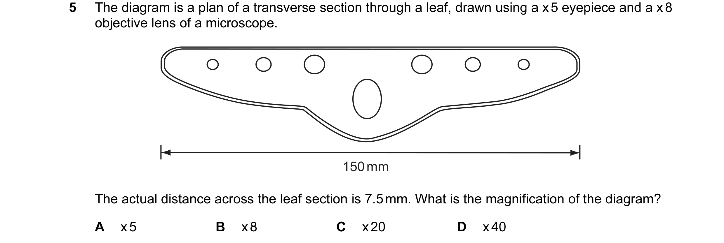 Question 2: The diagram is a plan of a transverse section through a leaf, drawn using a x 5 eyepiece and a x 8 objective lens of a microscope. 150 mm T…