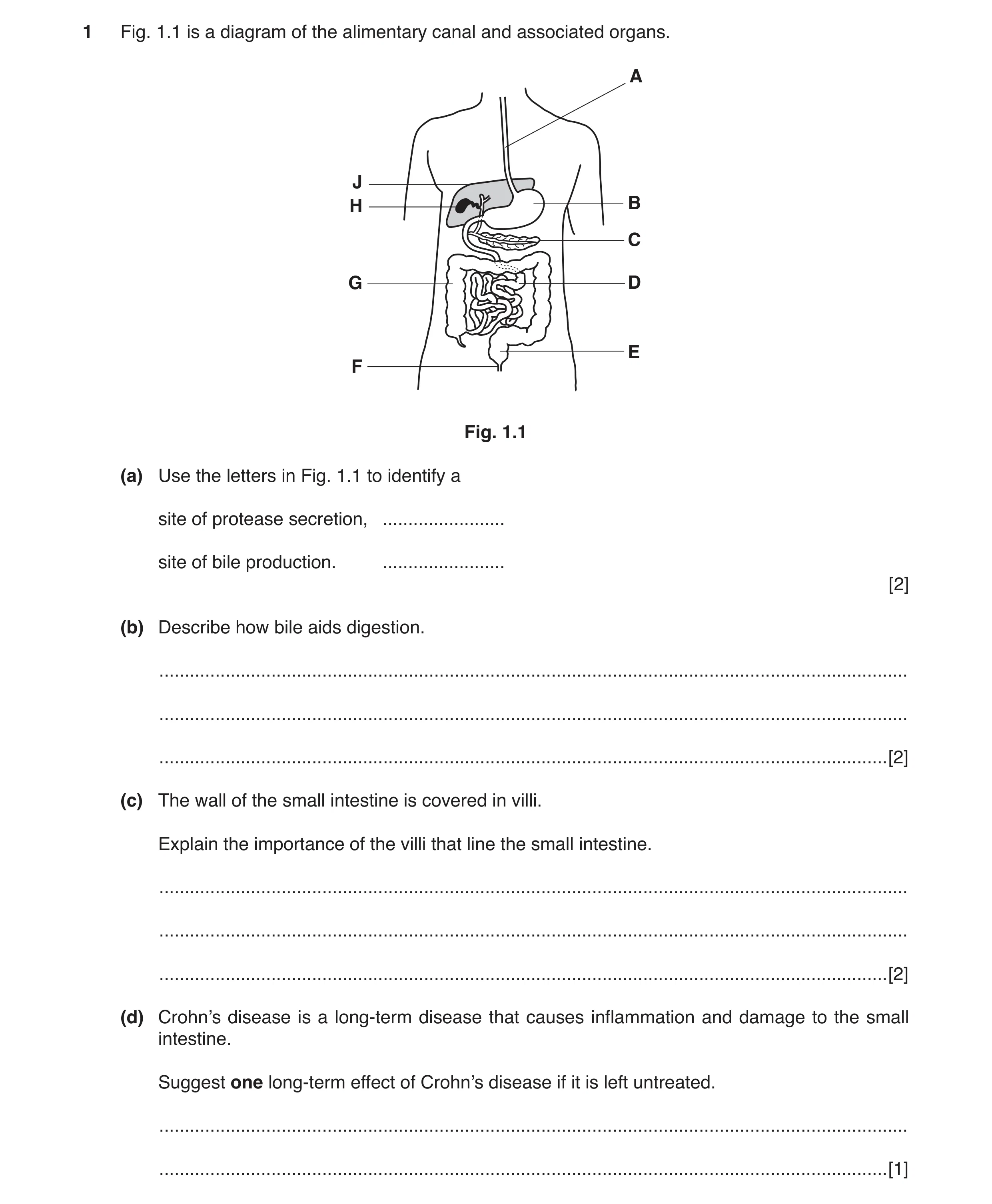 Question 2: Fig. 1.1 is a diagram of the alimentary canal and associated organs. A J H B C G D E F Fig. 1.1 (a) Use the letters in Fig. 1.1 to identify…