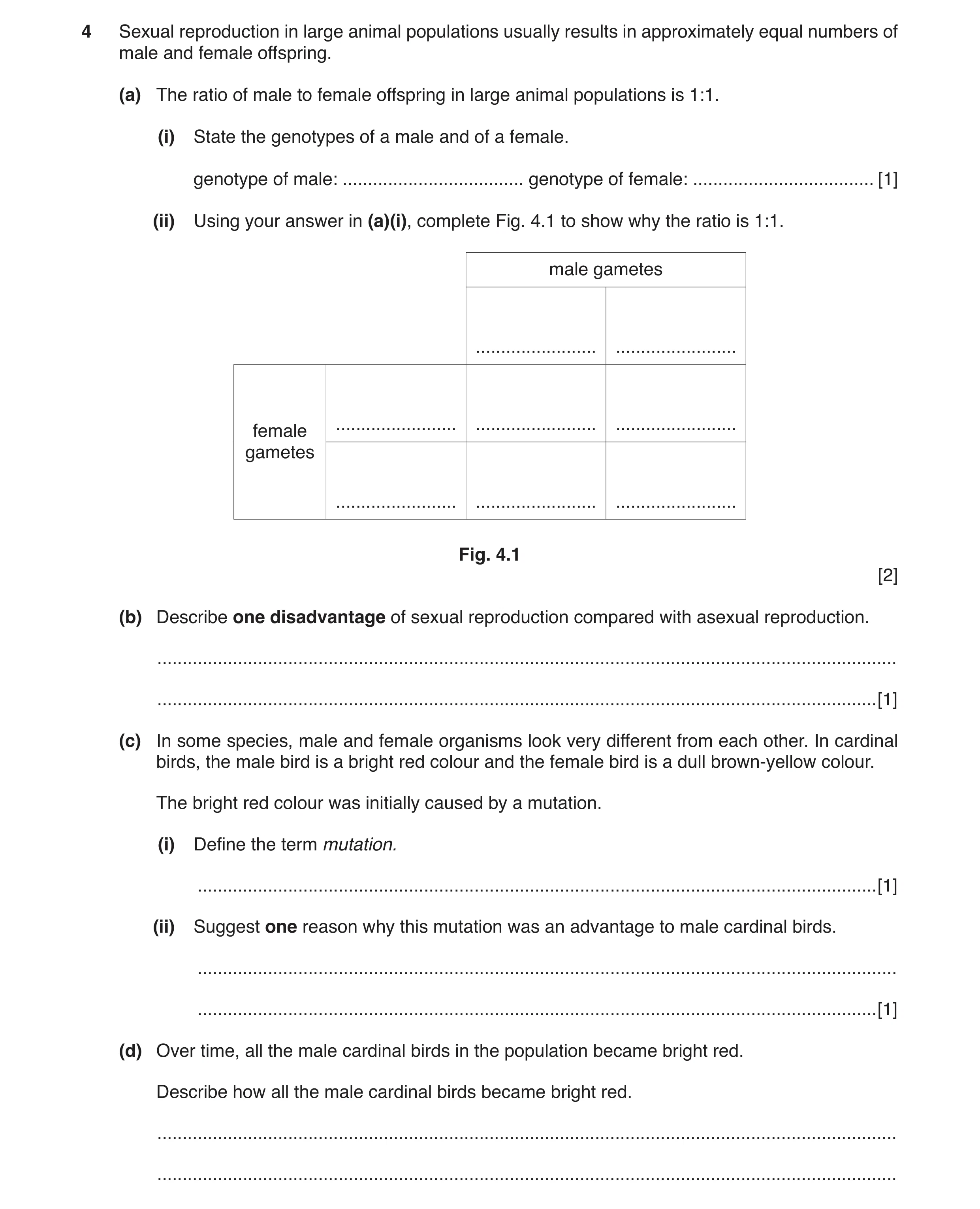 Question 3: Sexual reproduction in large animal populations usually results in approximately equal numbers of male and female offspring. (a) The ratio …