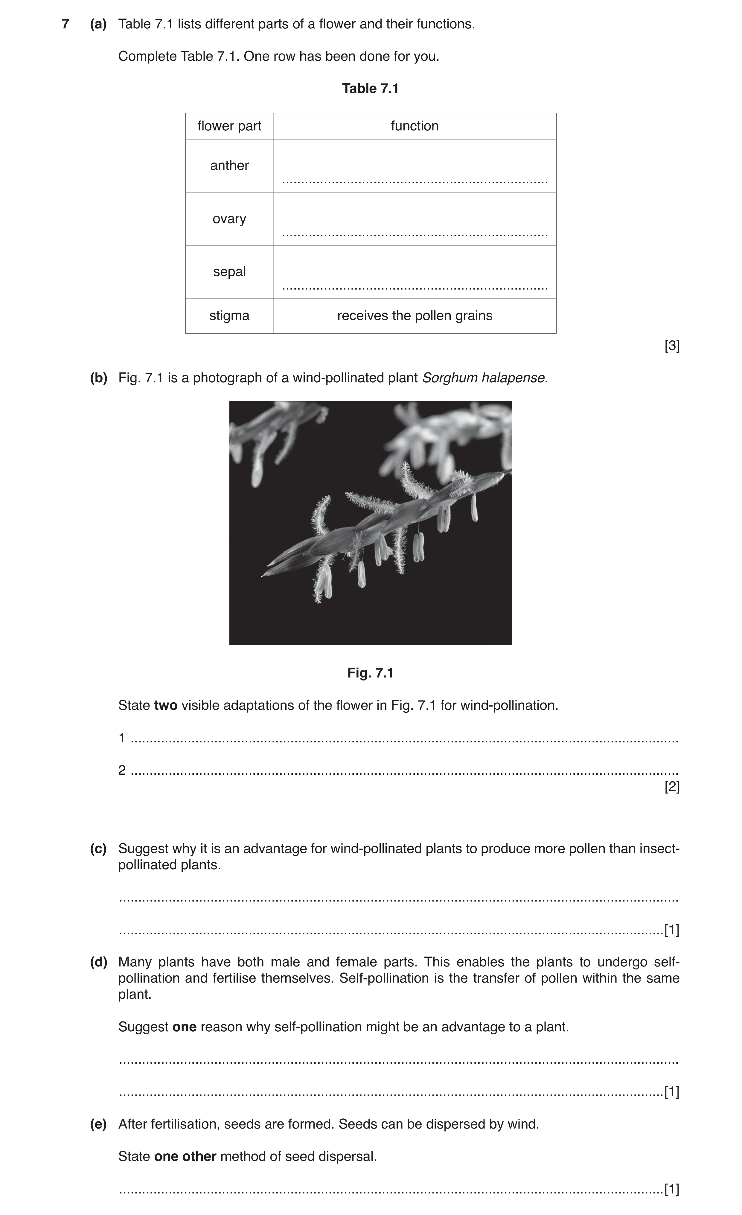 Question 3: (a) Table 7.1 lists different parts of a flower and their functions. Complete Table 7.1. One row has been done for you. Table 7.1 flower pa…