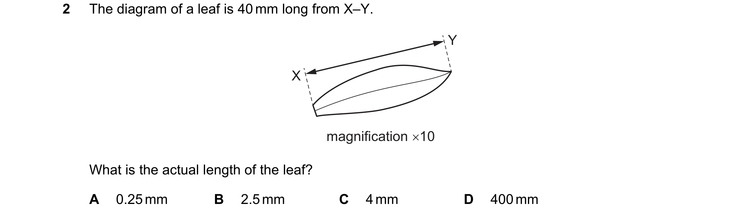 Question 14: ~The diagram of a leaf is 40 mm long from X-Y.
magnification x10
What is the actual length of the leaf?
A 0.25mm B 2.5mm C 4mm D 400mm