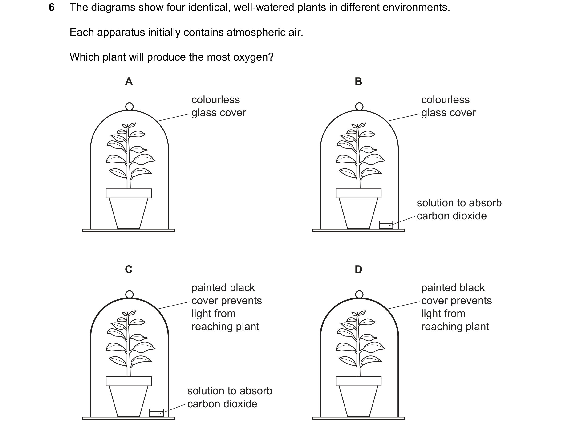 Question 93: The diagrams show four identical, well-watered plants in different environments. Each apparatus initially contains atmospheric air. Which p…
