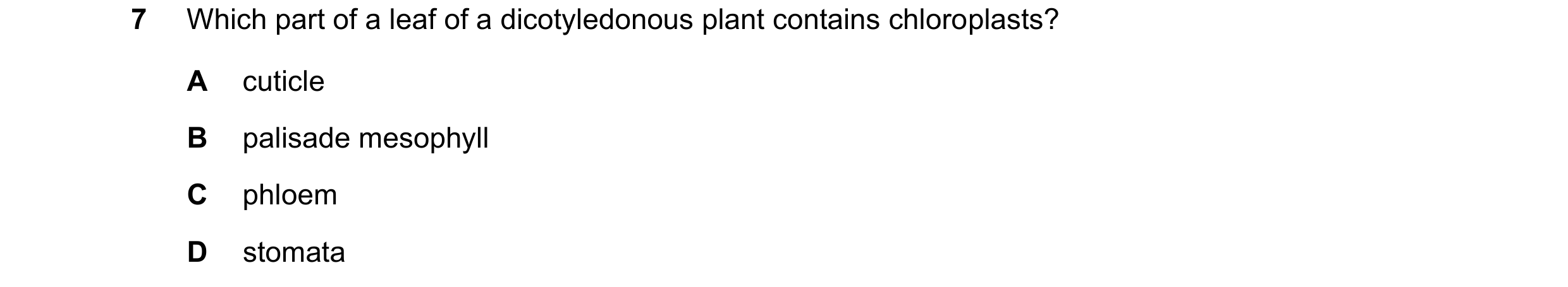 Question 49: Which part of a leaf of a dicotyledonous plant contains chloroplasts? A cuticle B palisade mesophyll C phloem D stomata