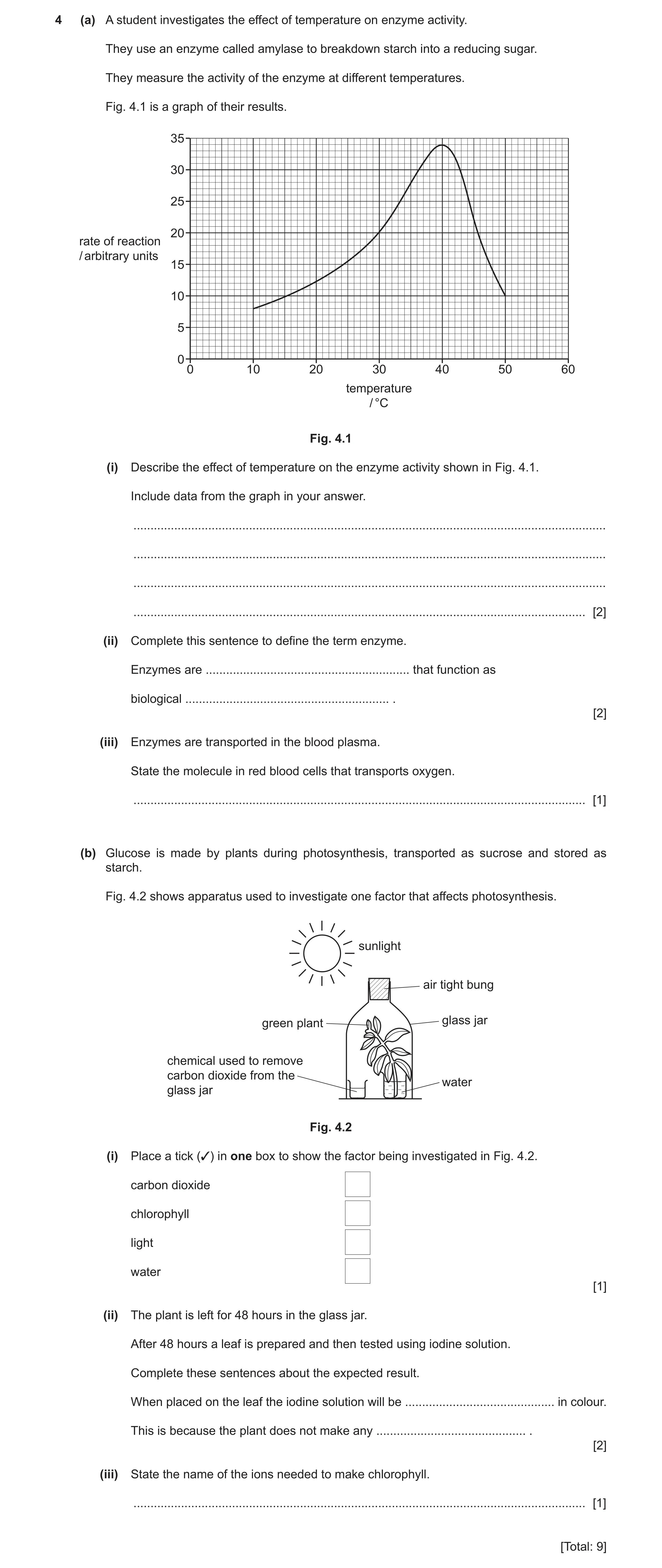 Question 20: (a) A student investigates the effect of temperature on enzyme activity. They use an enzyme called amylase to breakdown starch into a reduc…