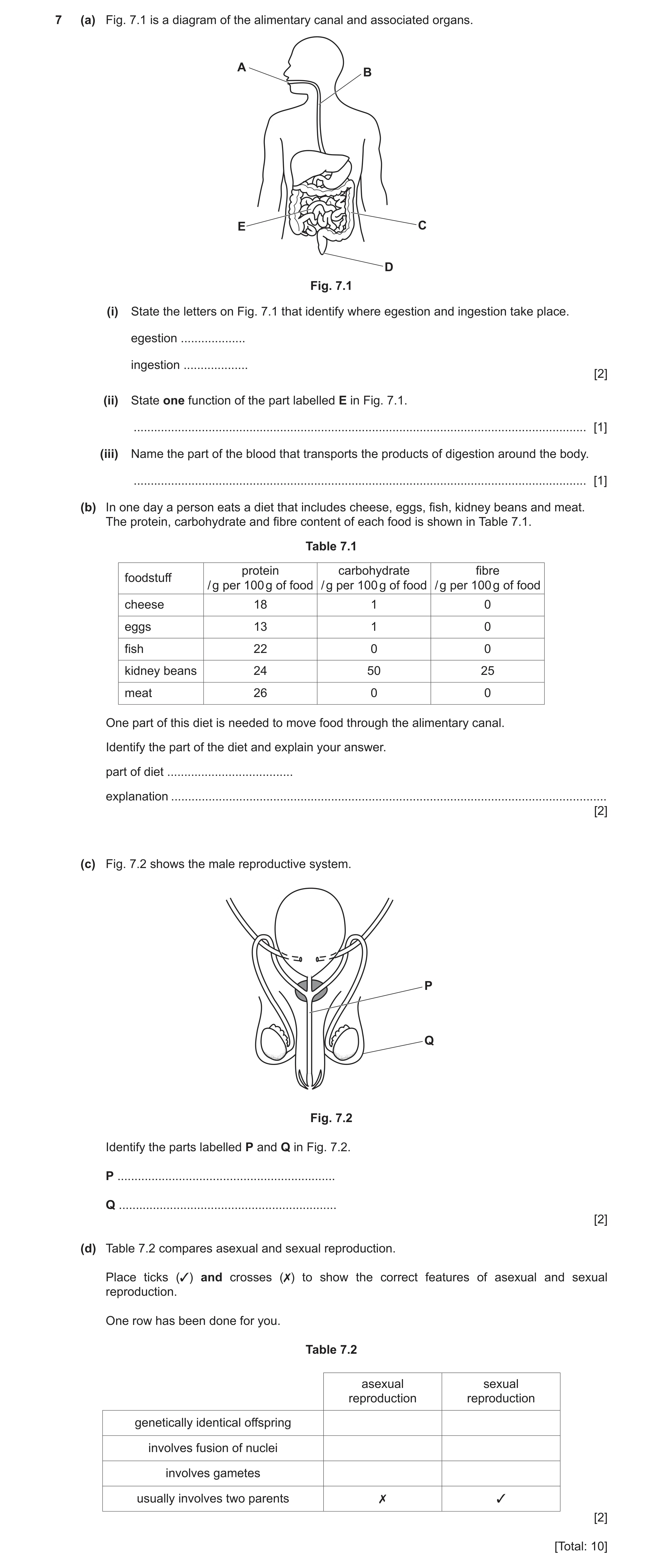 Question 7: (a) Fig. 7.1 is a diagram of the alimentary canal and associated organs. A B E C D Fig. 7.1 (i) State the letters on Fig. 7.1 that identify…