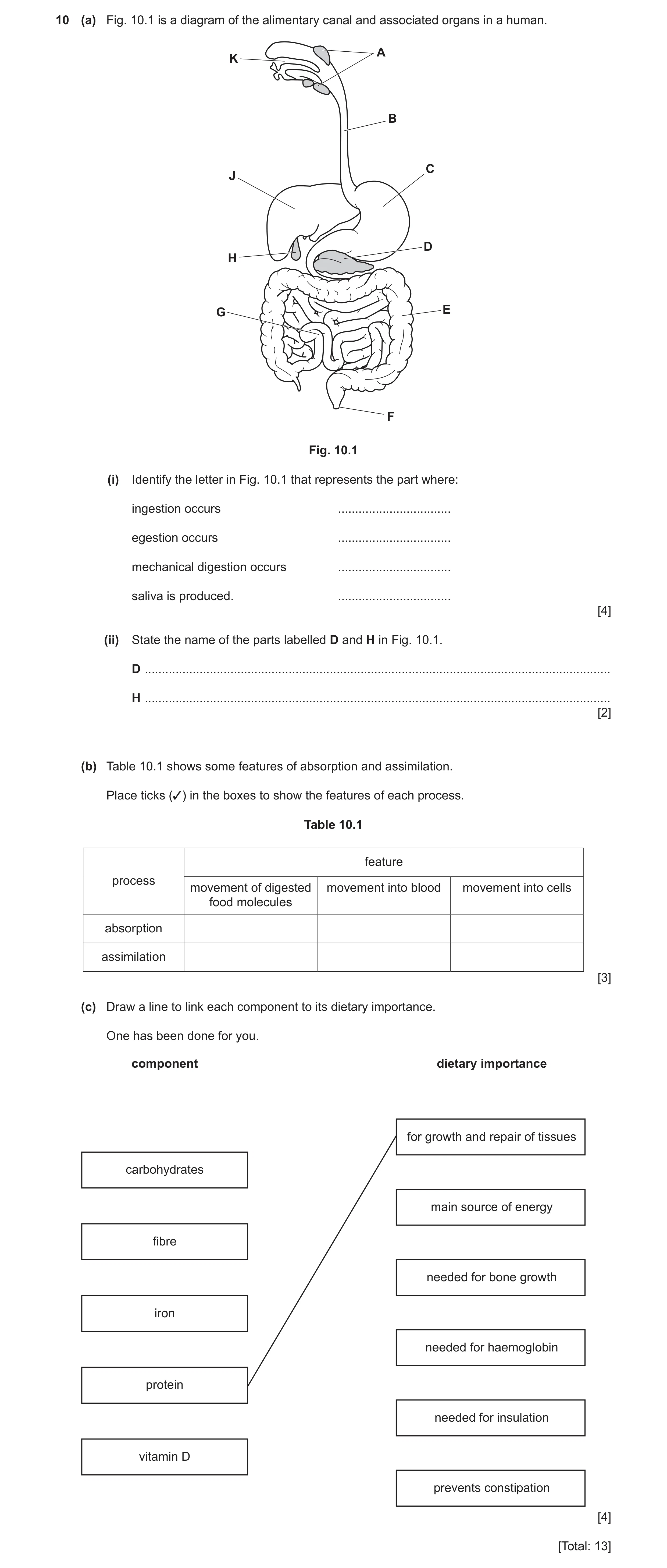 Question 10: (a) Fig. 10.1 is a diagram of the alimentary canal and associated organs in a human. A K B C J D H G E F Fig. 10.1 (i) Identify the letter …