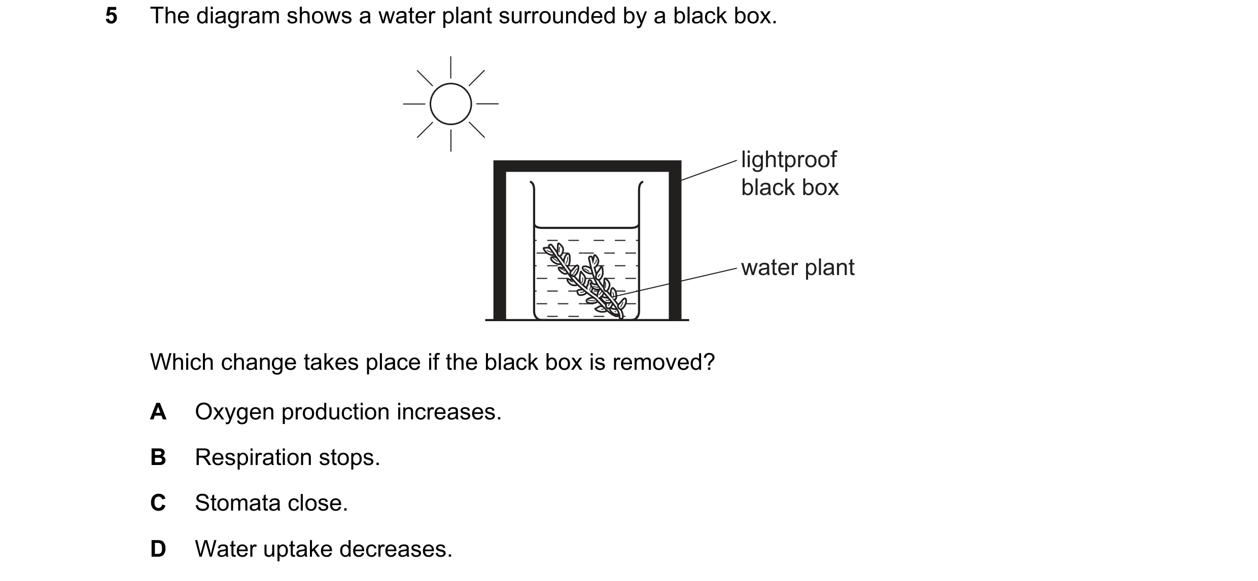 Question 58: The diagram shows a water plant surrounded by a black box. lightproof black box water plant Which change takes place if the black box is re…