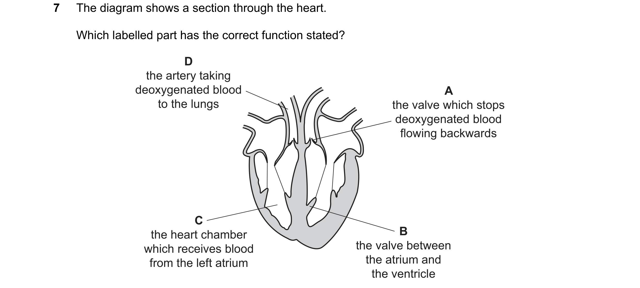 Question 49: The diagram shows a section through the heart. Which labelled part has the correct function stated? D the artery taking deoxygenated blood …