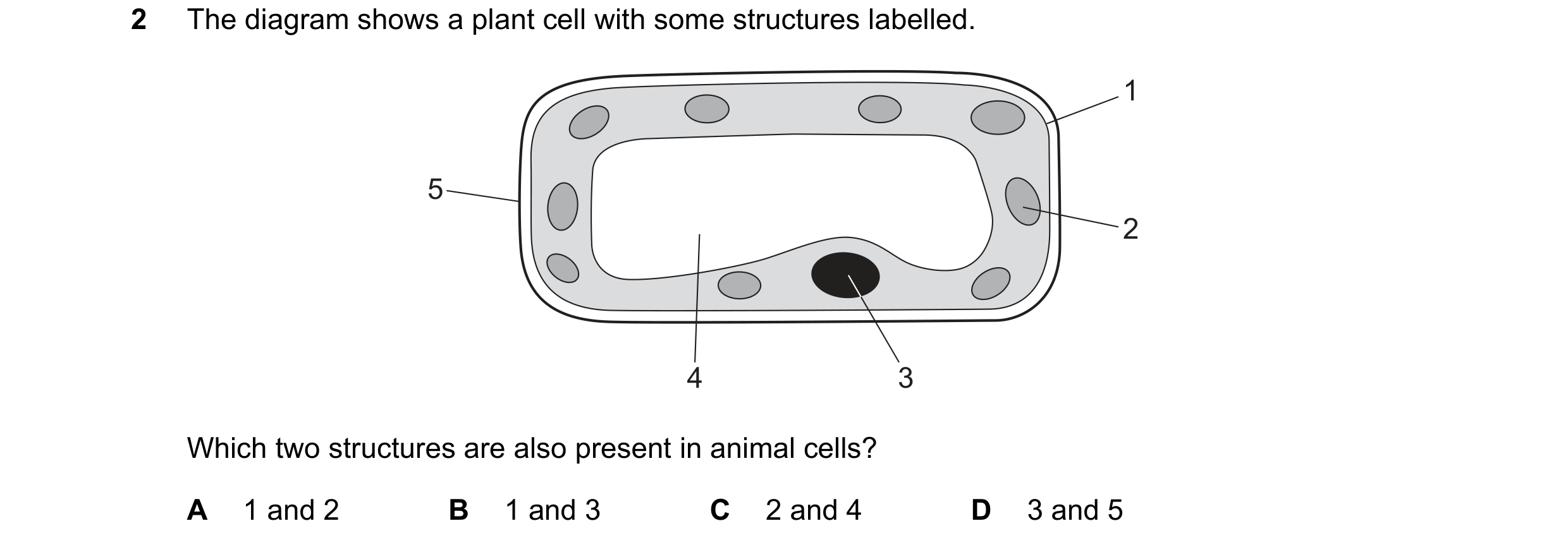 Question 54: The diagram shows a plant cell with some structures labelled. 1 5 2 4 3 Which two structures are also present in animal cells? A 1 and 2 B …
