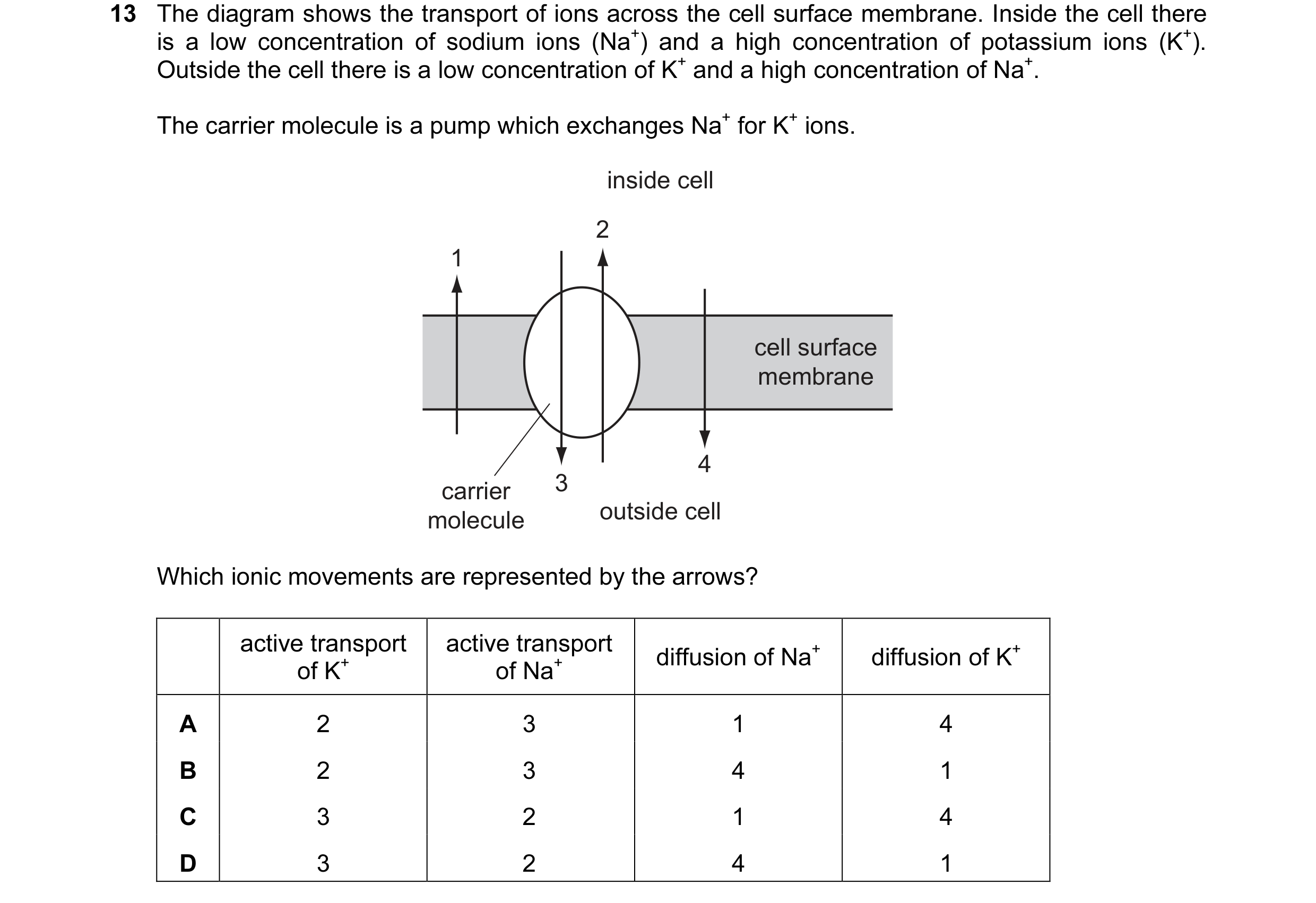 Question 31: The diagram shows the transport of ions across the cell surface membrane. Inside the cell there is a low concentration of sodium ions (Na+)…