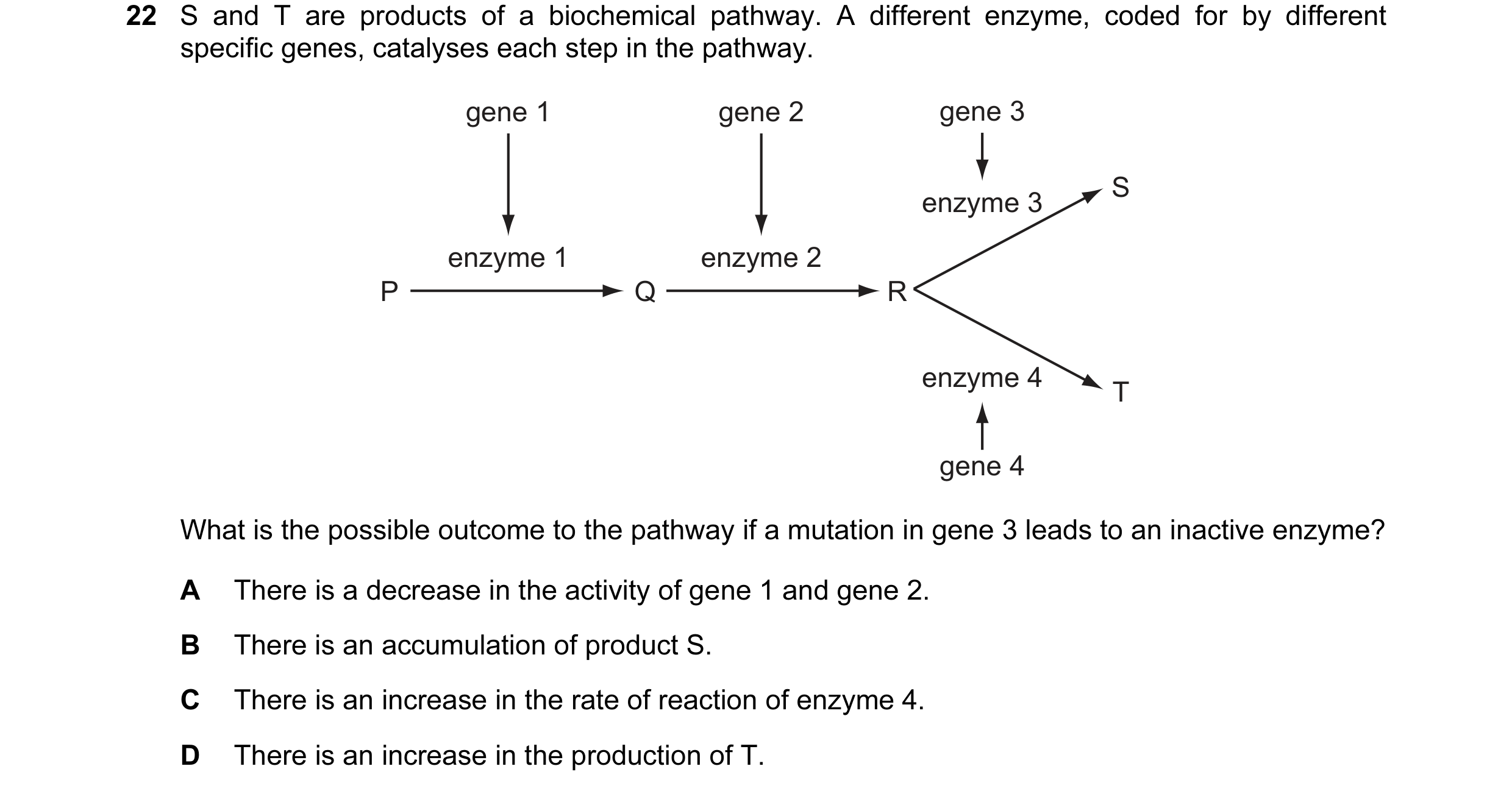 Question 4: S and T are products of a biochemical pathway. A different enzyme, coded for by different specific genes, catalyses each step in the pathwa…