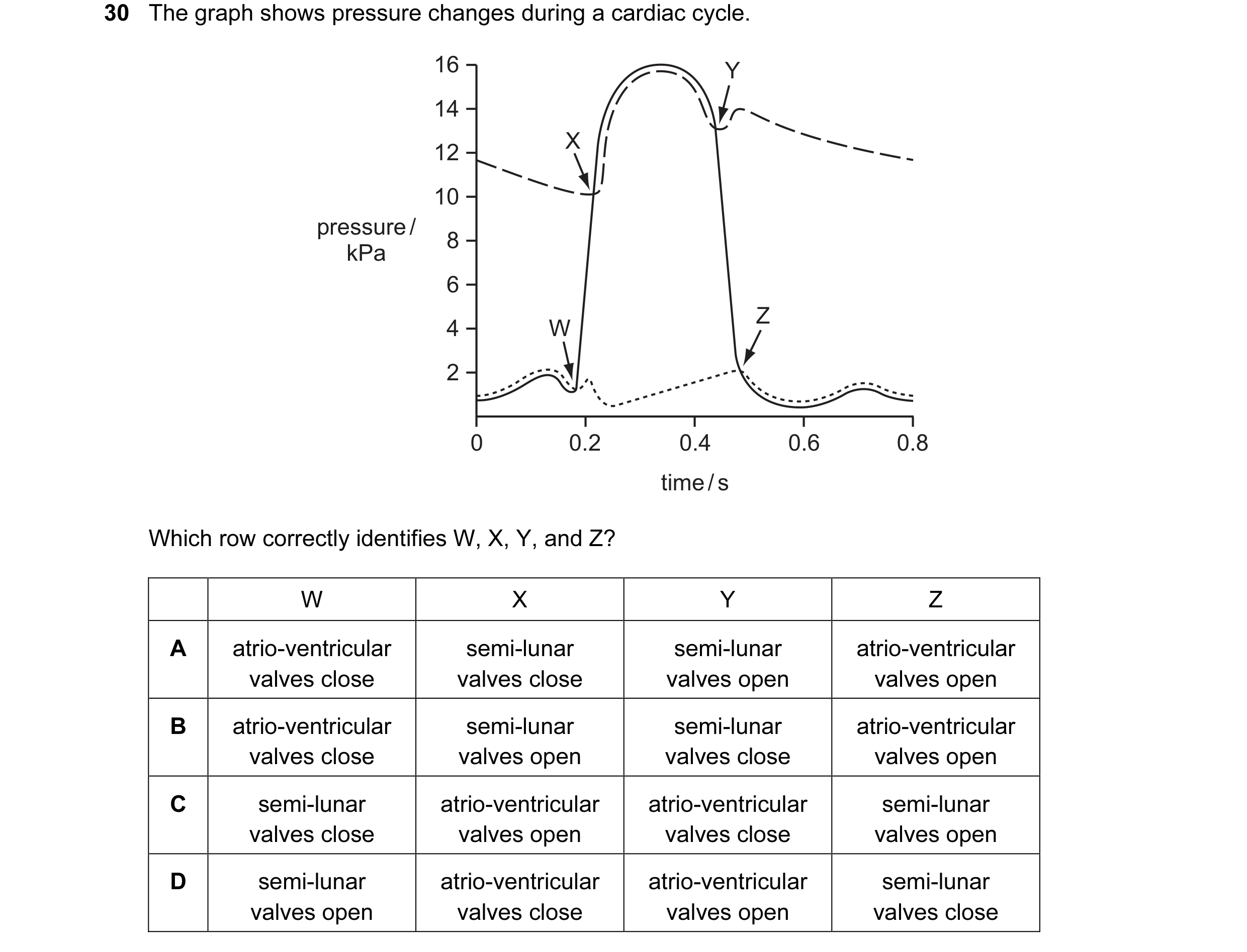 Question 16: The graph shows pressure changes during a cardiac cycle. 16 Y 14 X 12 10 pressure / 8 kPa 6 Z 4 W 2 0 0.2 0.4 0.6 0.8 time / s Which row co…