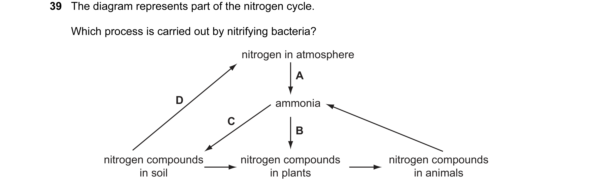 Question 20: The diagram represents part of the nitrogen cycle. Which process is carried out by nitrifying bacteria? nitrogen in atmosphere A D ammonia …