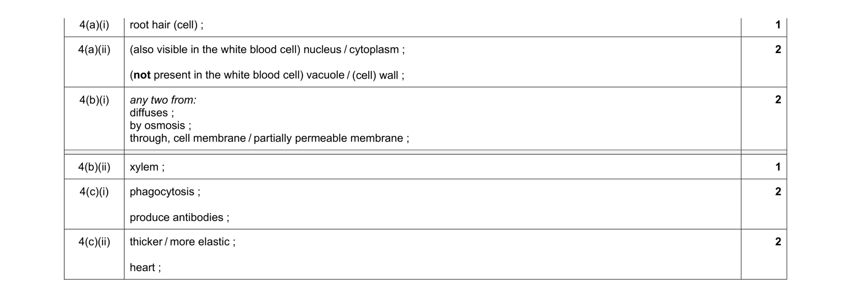 Mark scheme for question 19