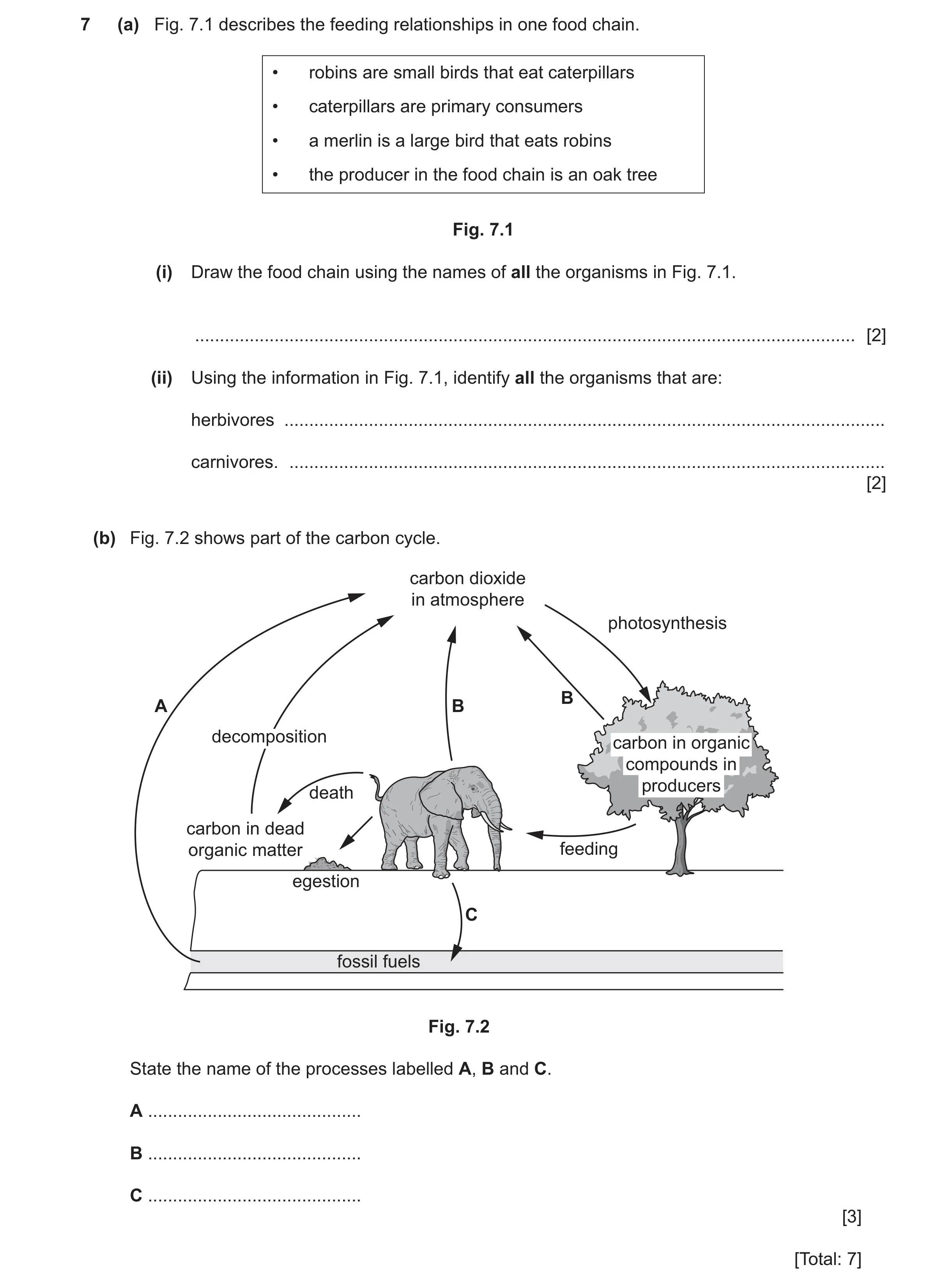 Question 7: (a) Fig. 7.1 describes the feeding relationships in one food chain. • robins are small birds that eat caterpillars • caterpillars are prima…