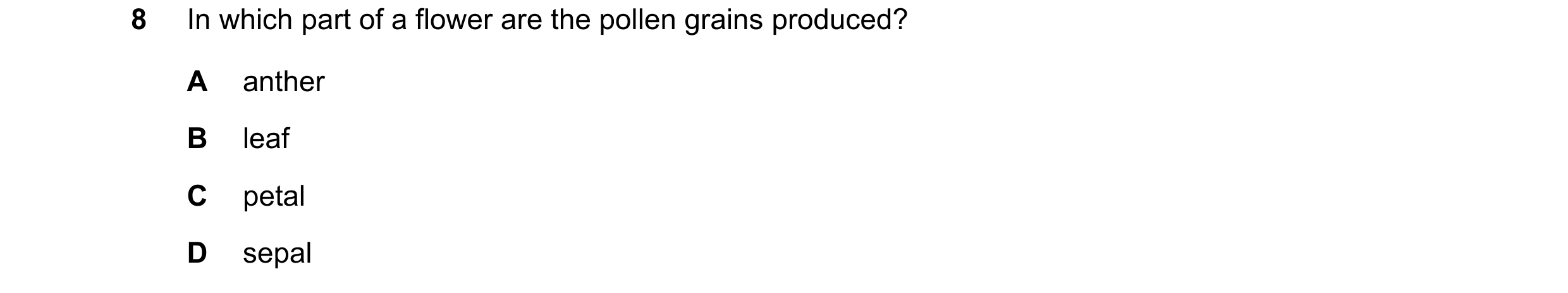 Question 30: In which part of a flower are the pollen grains produced? A anther B leaf C petal D sepal