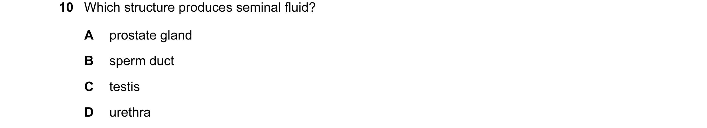 Question 22: Which structure produces seminal fluid? A prostate gland B sperm duct C testis D urethra