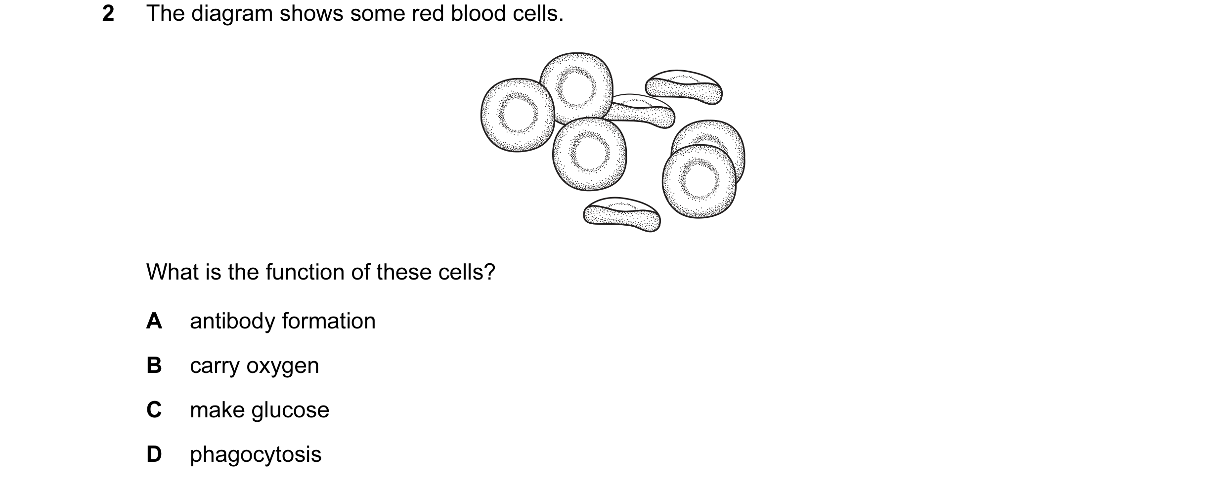 Question 4: The diagram shows some red blood cells. What is the function of these cells? A antibody formation B carry oxygen C make glucose D phagocyto…