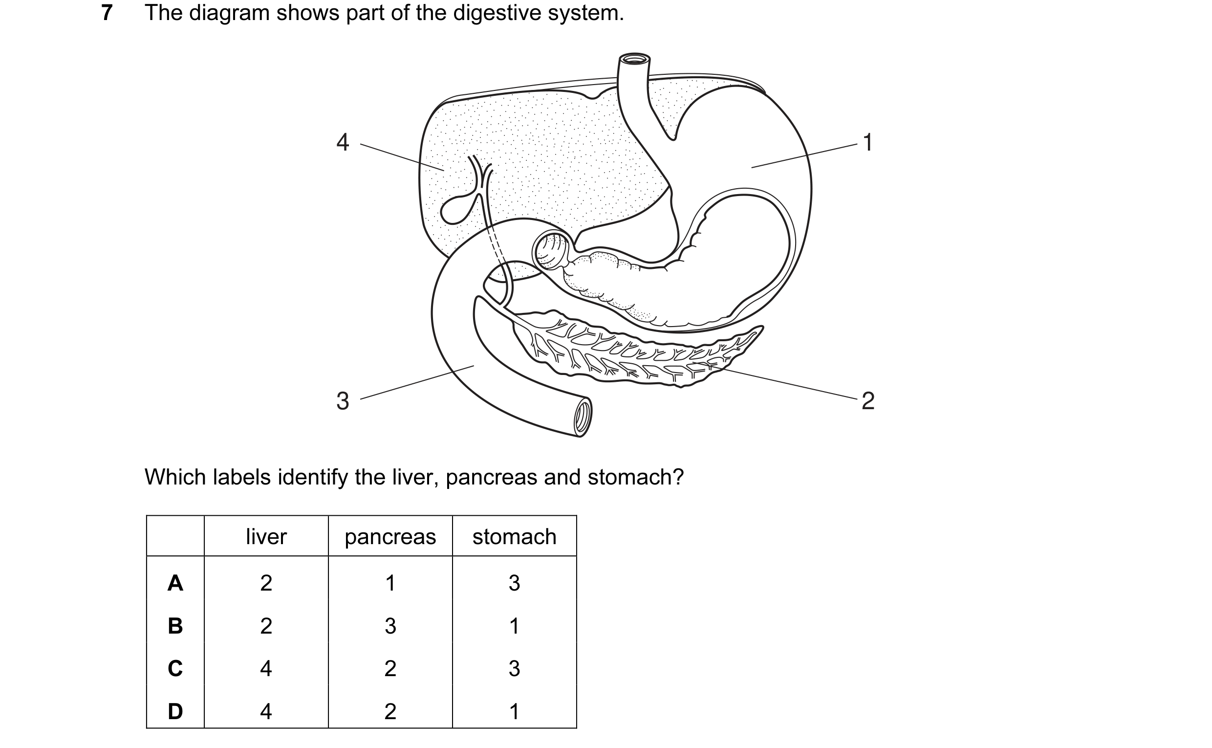 Question 14: The diagram shows part of the digestive system. 4 1 3 2 Which labels identify the liver, pancreas and stomach? liver pancreas stomach A 2 1…