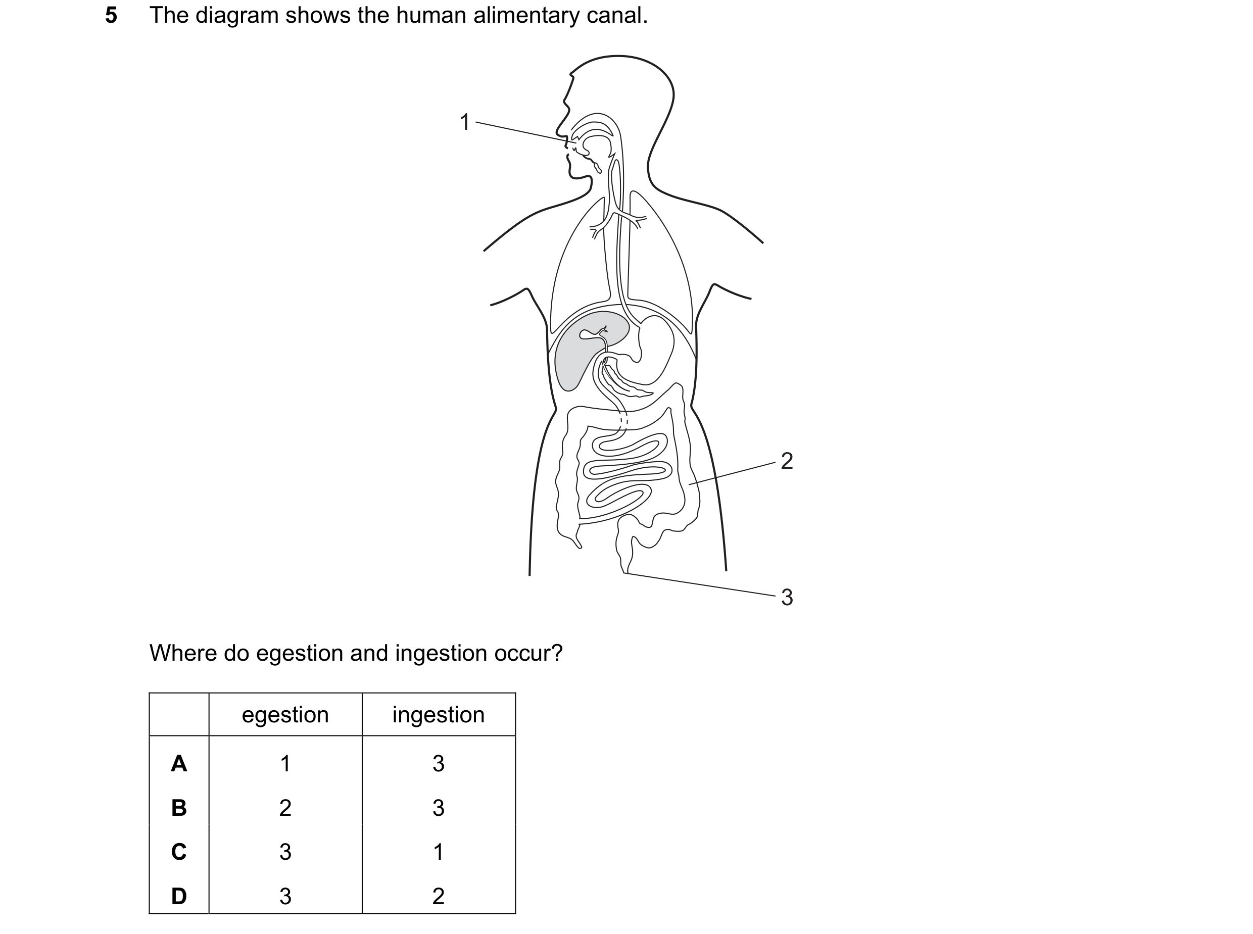 Question 20: The diagram shows the human alimentary canal. 1 2 3 Where do egestion and ingestion occur? egestion ingestion A 1 3 B 2 3 C 3 1 D 3 2