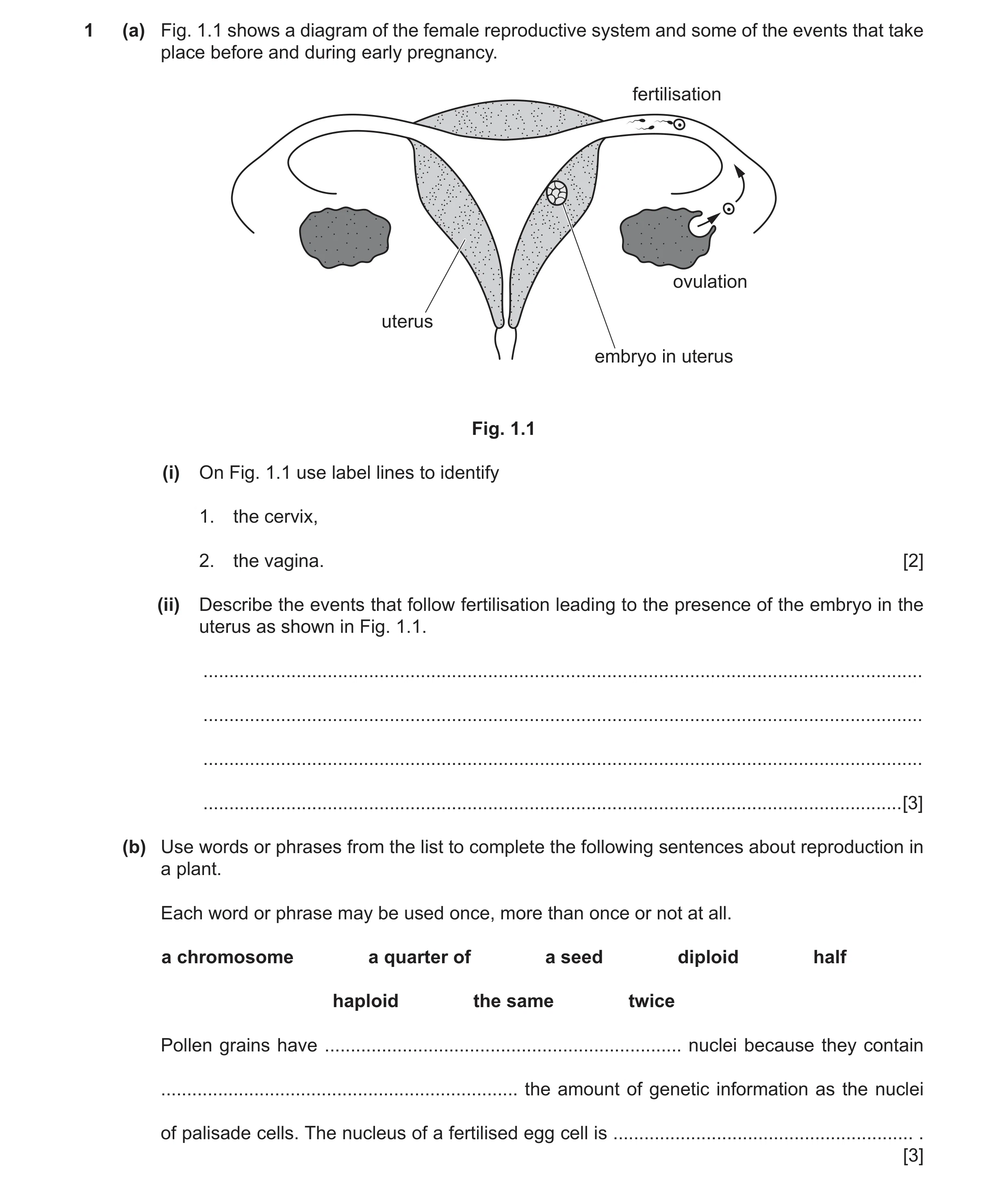 Question 3: (a) Fig. 1.1 shows a diagram of the female reproductive system and some of the events that take place before and during early pregnancy. fe…