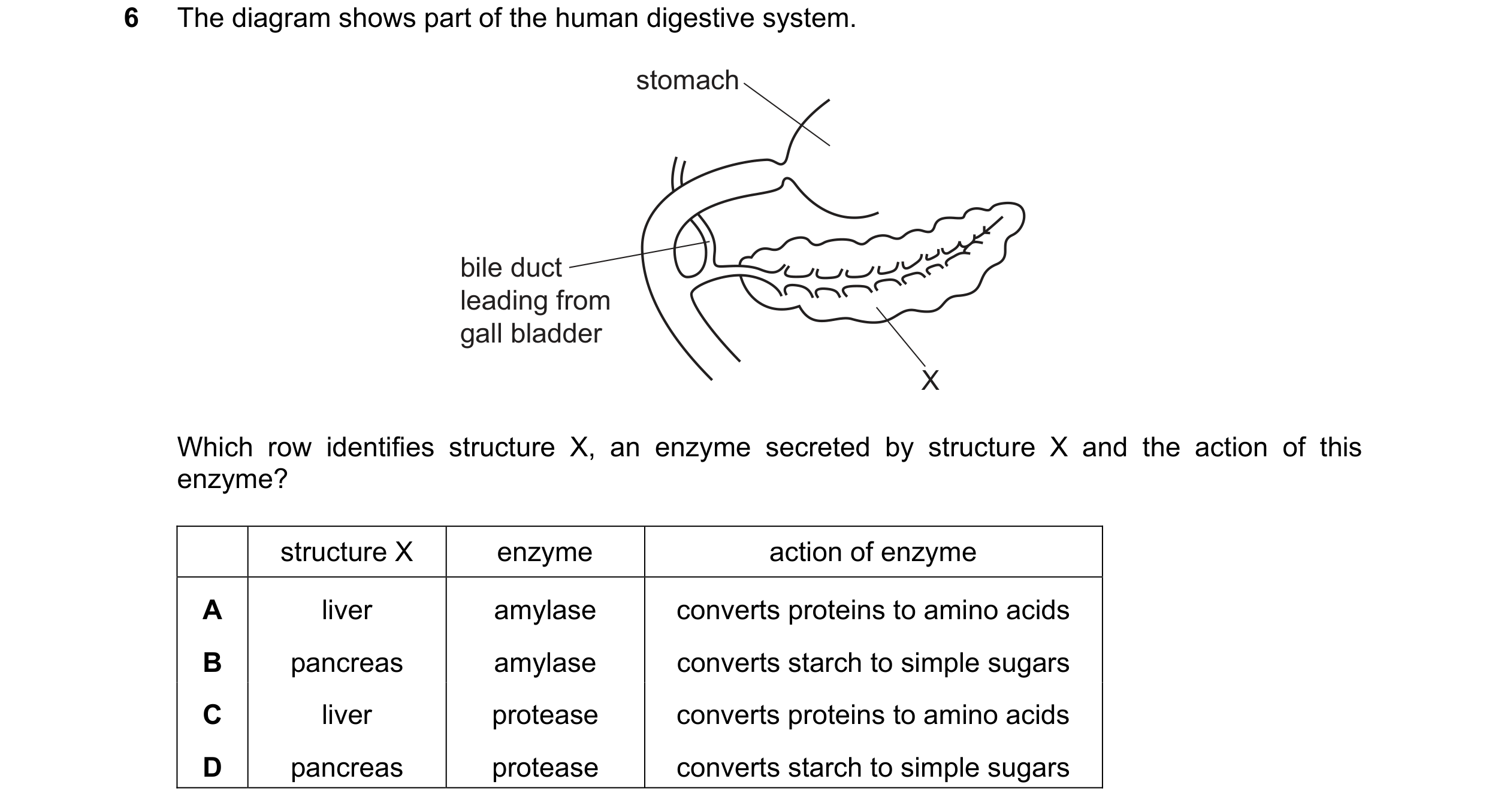 Question 23: The diagram shows part of the human digestive system. stomach bile duct leading from gall bladder X Which row identifies structure X, an en…