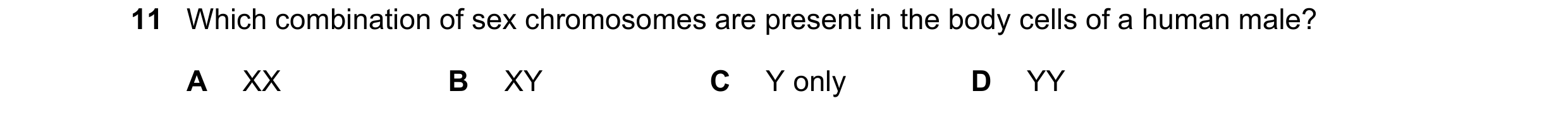 Question 24: Which combination of sex chromosomes are present in the body cells of a human male? A XX B XY C Y only D YY
