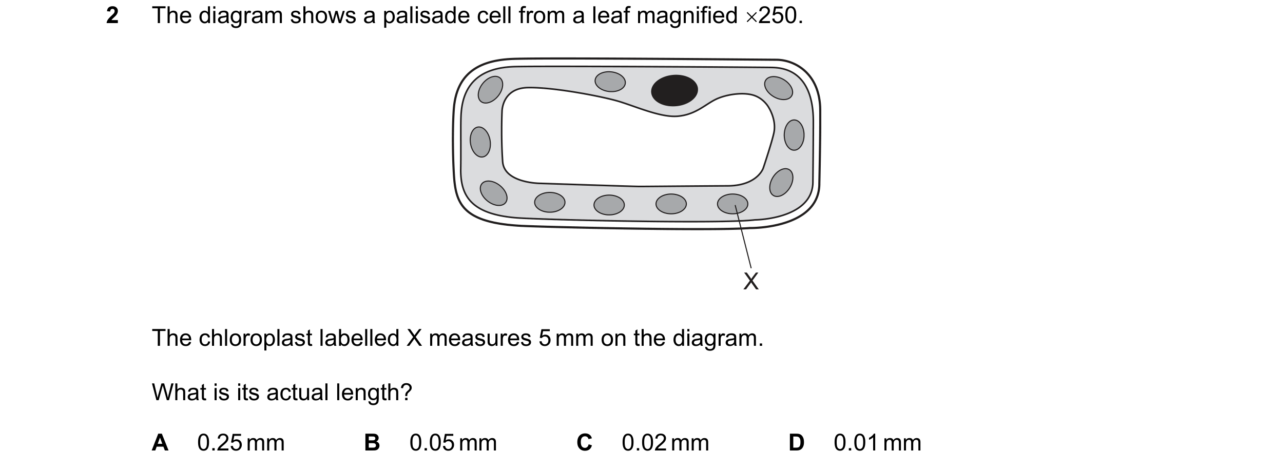 Question 9: The diagram shows a palisade cell from a leaf magnified 250. X The chloroplast labelled X measures 5 mm on the diagram. What is its actual…