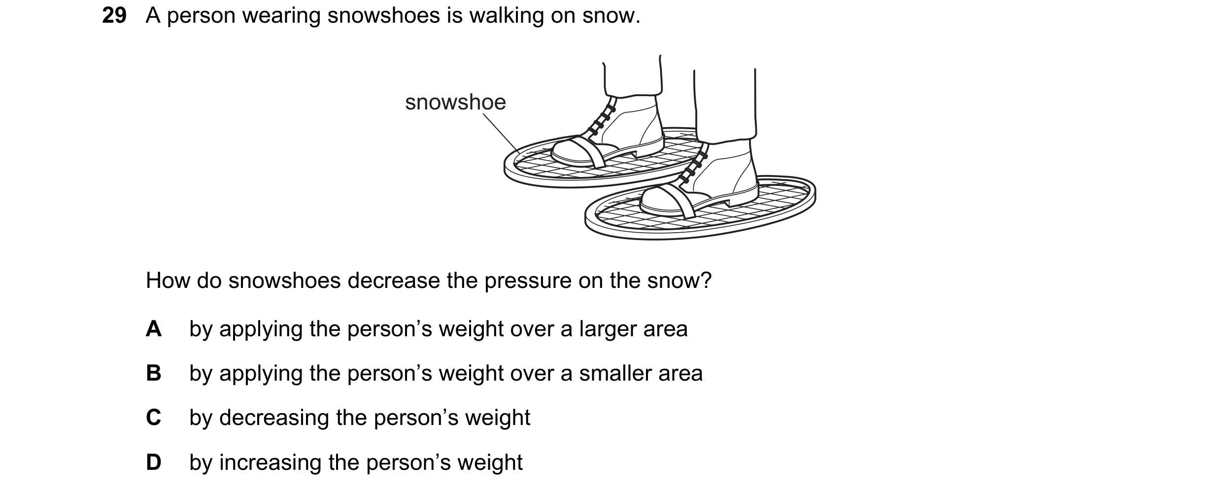 Question 21: A person wearing snowshoes is walking on snow. snowshoe How do snowshoes decrease the pressure on the snow? A by applying the person’s weig…