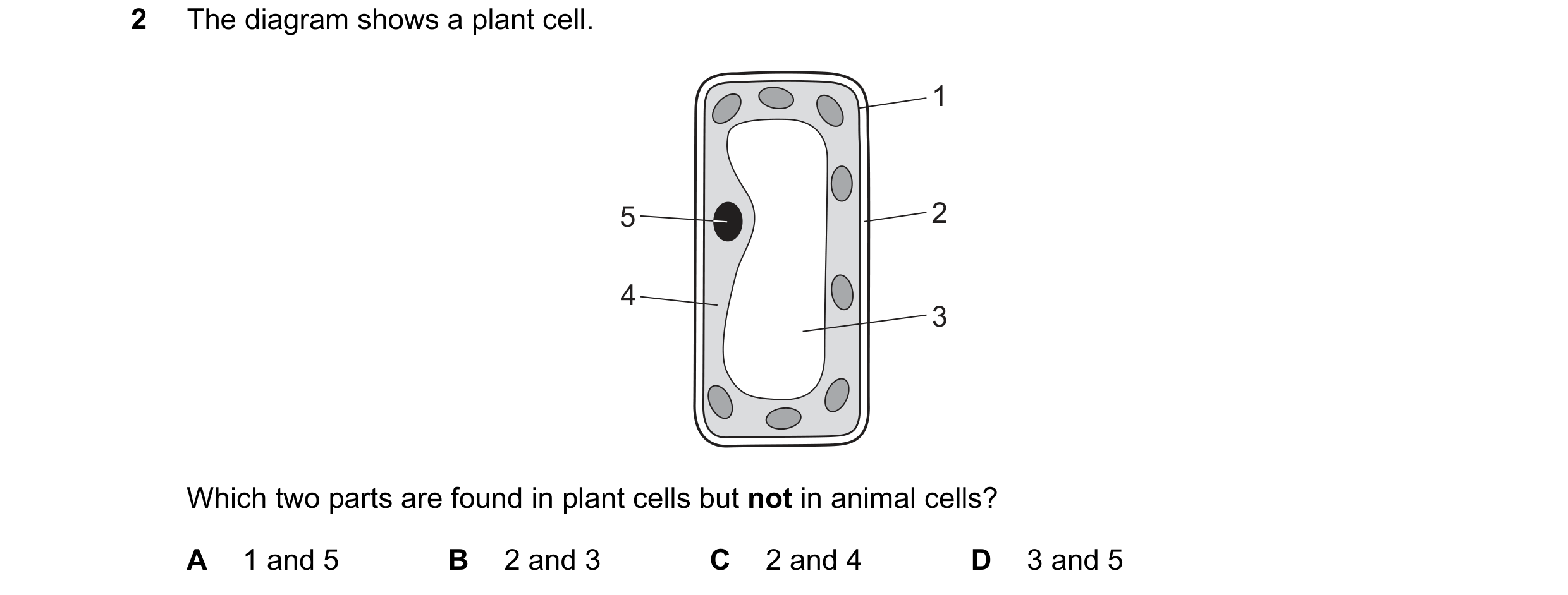Question 50: The diagram shows a plant cell. 1 5 2 4 3 Which two parts are found in plant cells but not in animal cells? A 1 and 5 B 2 and 3 C 2 and 4 D…