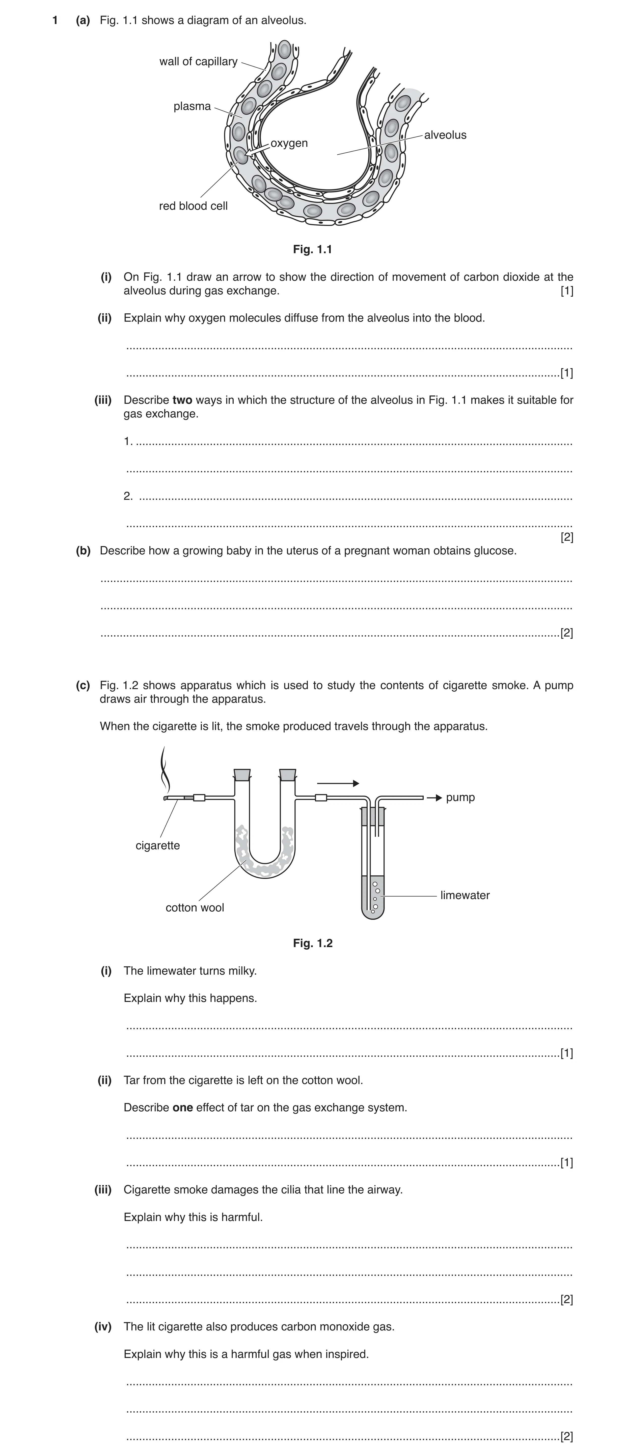 Question 5: (a) Fig. 1.1 shows a diagram of an alveolus. wall of capillary plasma alveolus oxygen red blood cell Fig. 1.1 (i) On Fig. 1.1 draw an arrow…